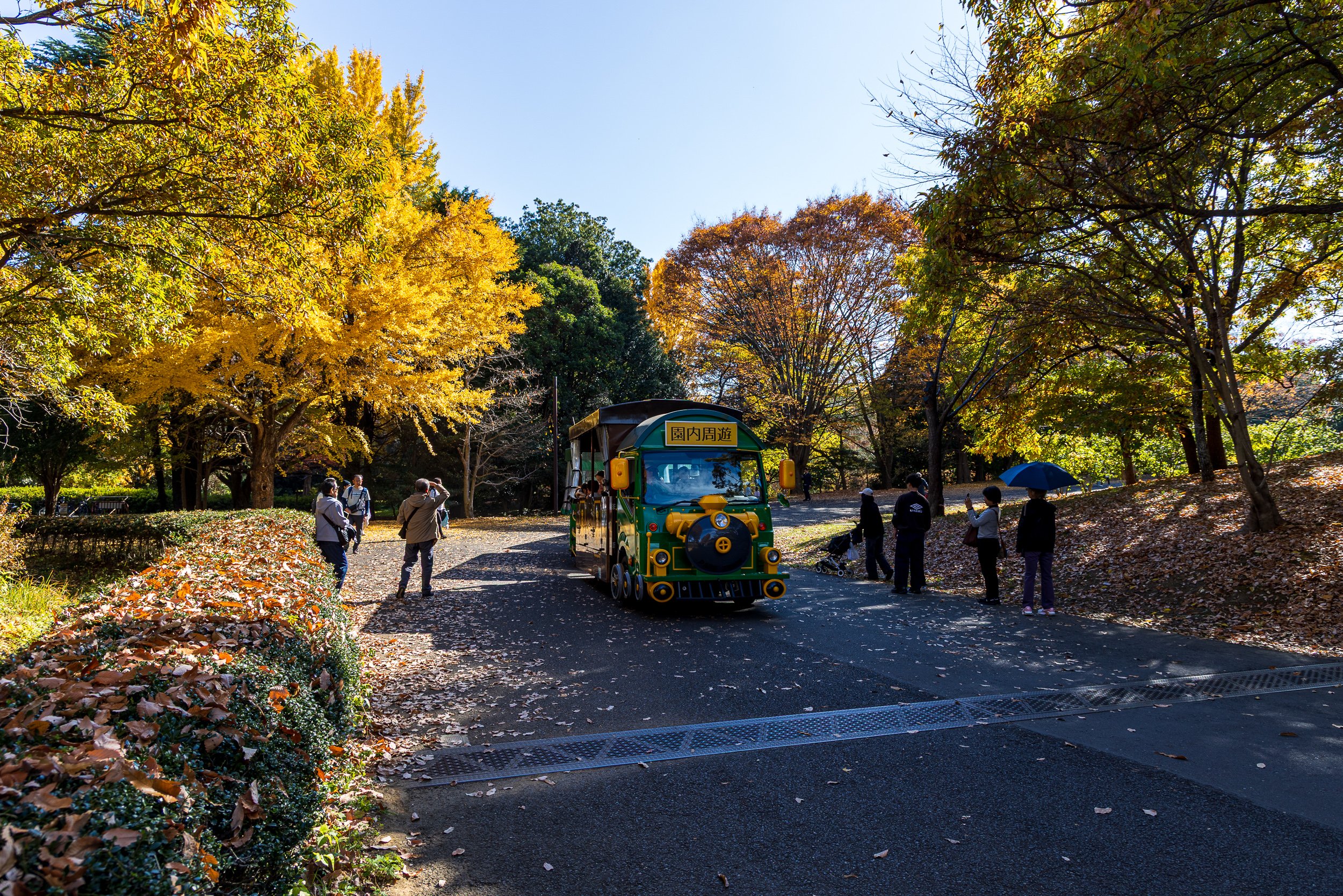 F19A0740_showa-kinen-park.jpg