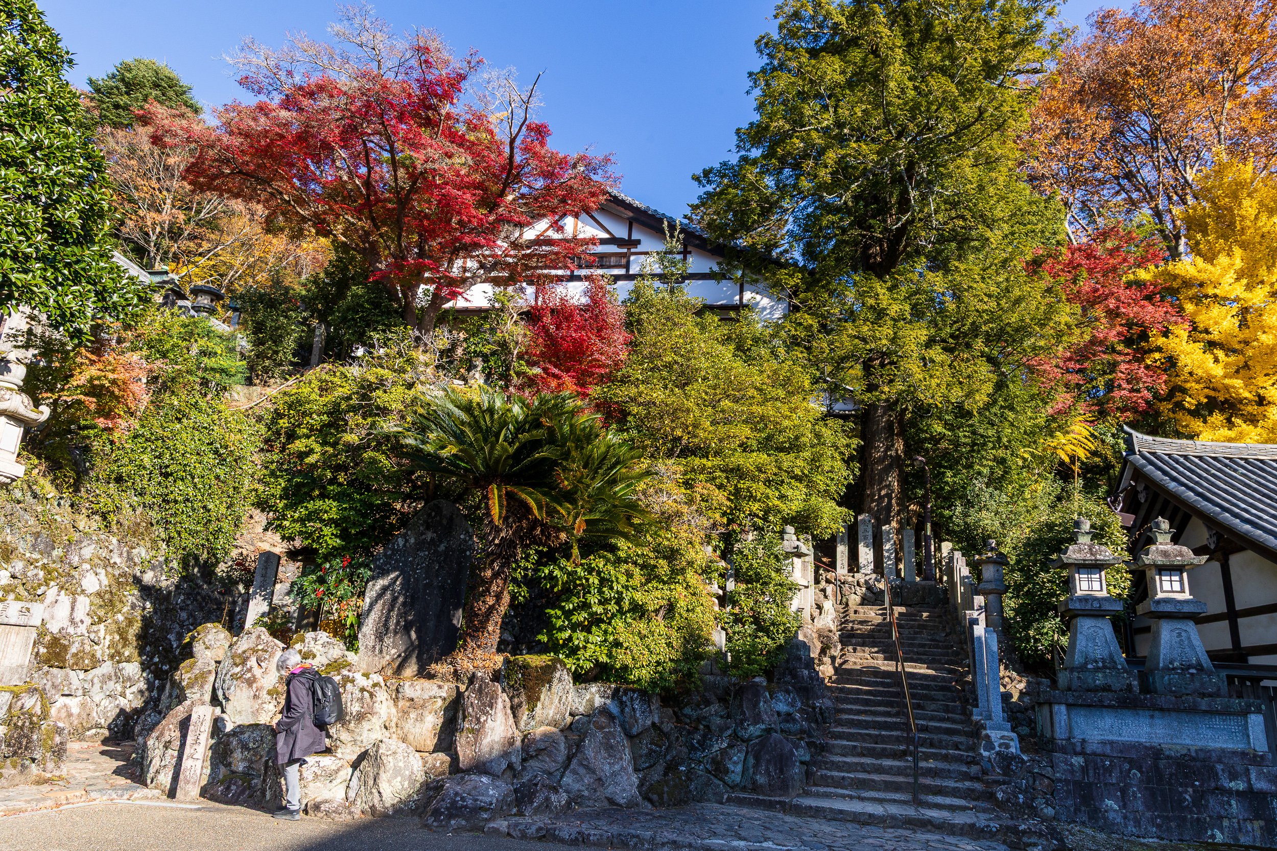 F19A3628_todai-ji-nigatsu-do.jpg