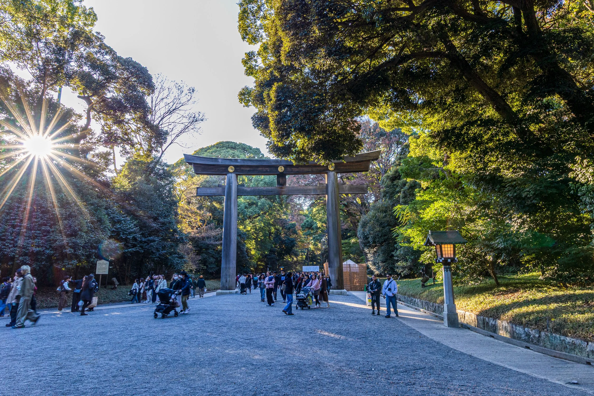 F19A0818_meiji-jingu.jpg