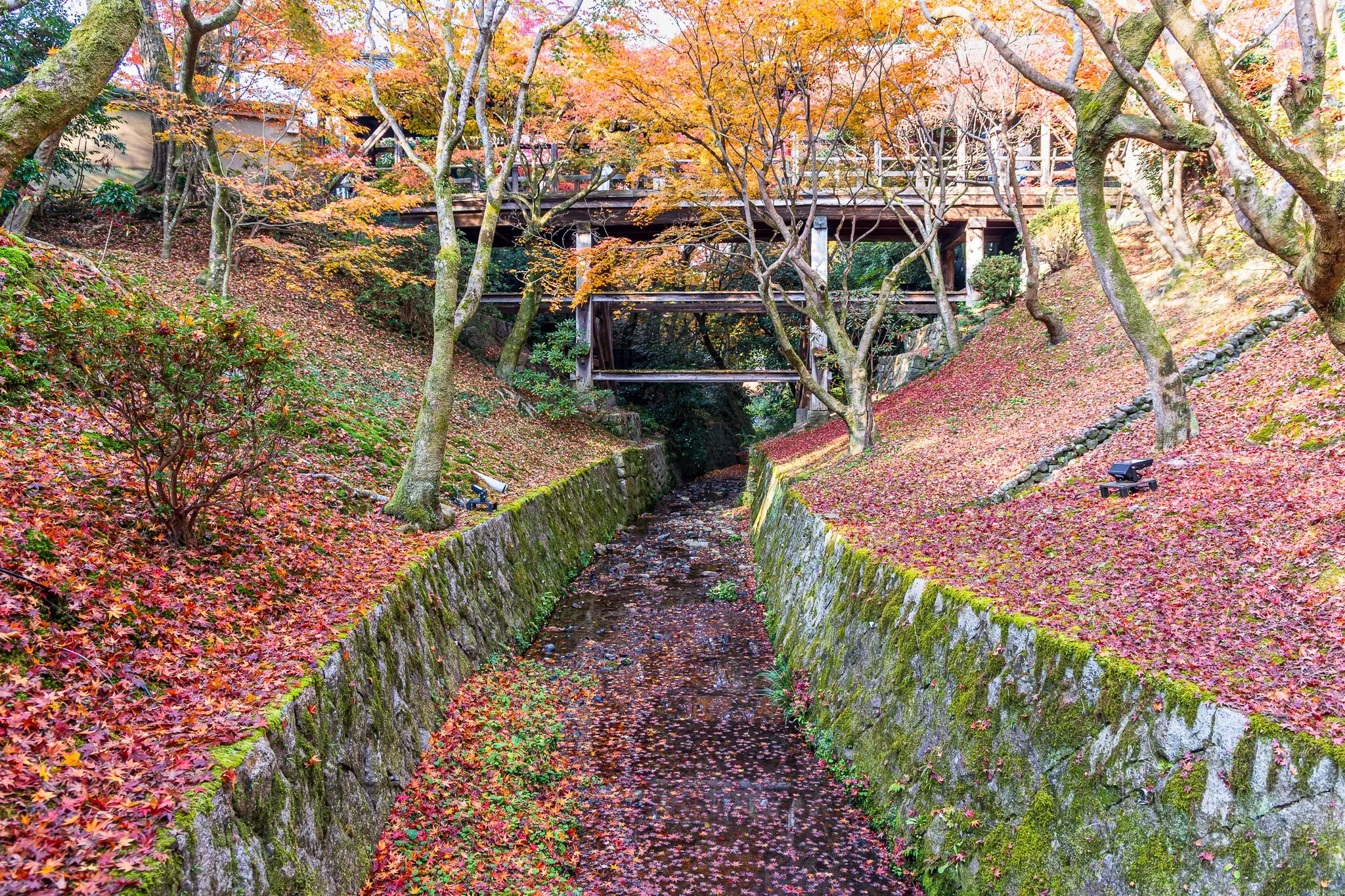Tsutenkyo Bridge