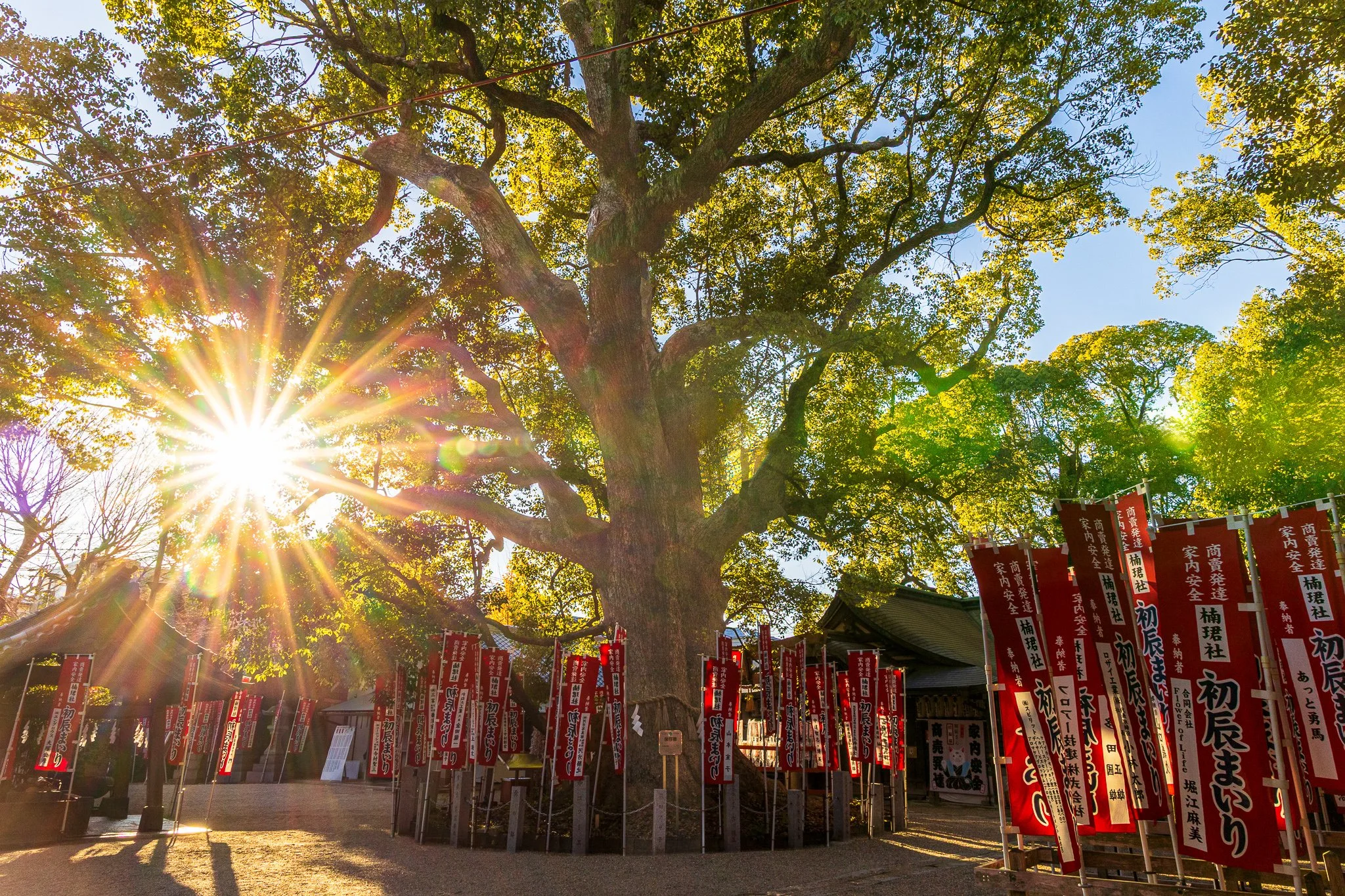F19A5665-Edit_sumiyoshi-taisha.jpg
