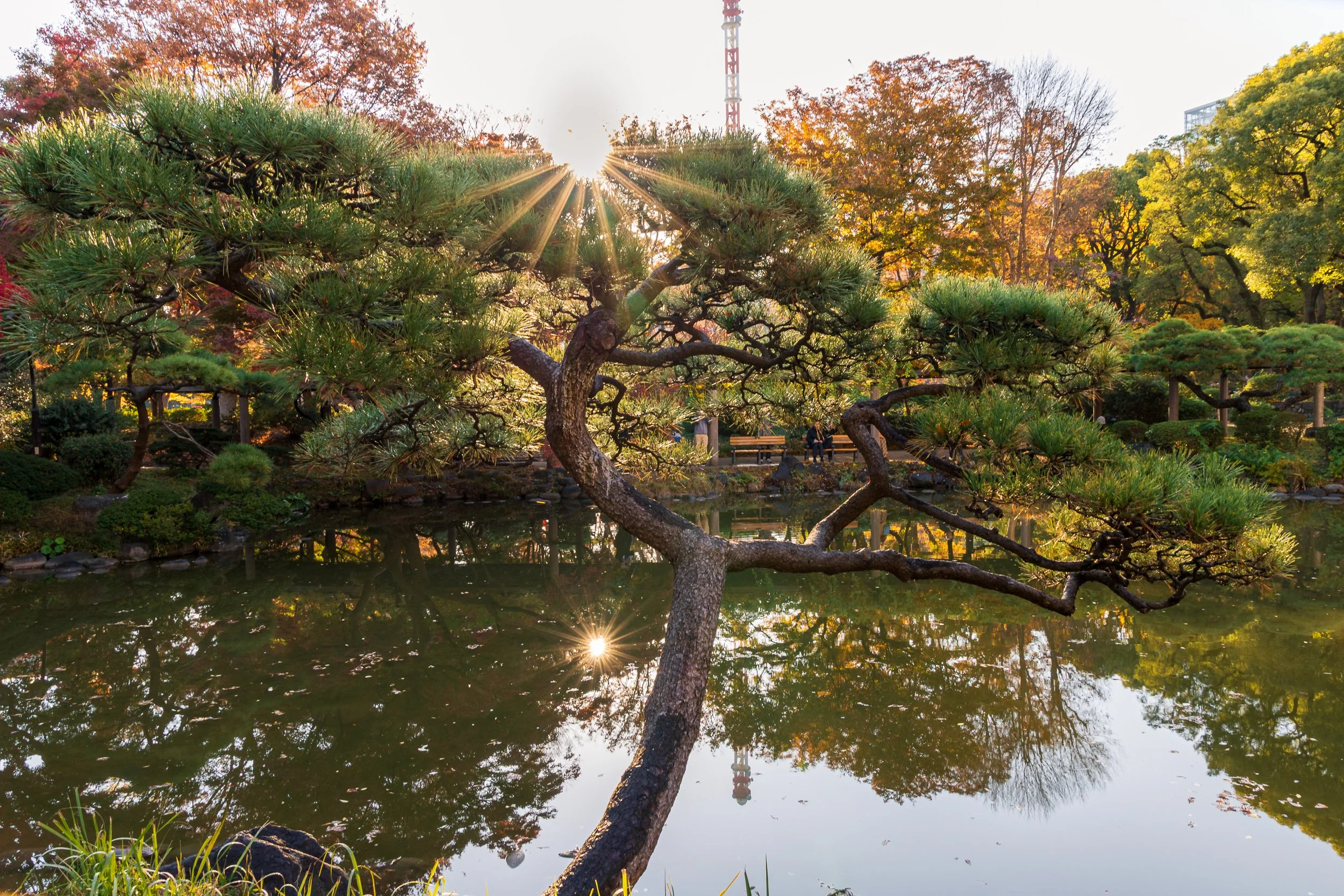 Kumogata Pond 