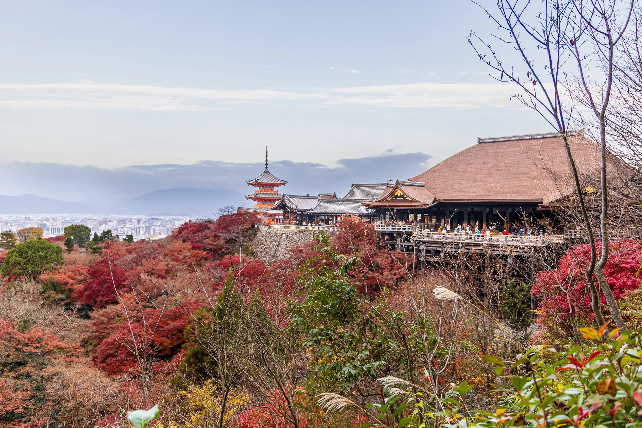 F19A4664_kiyomizu-dera.jpg