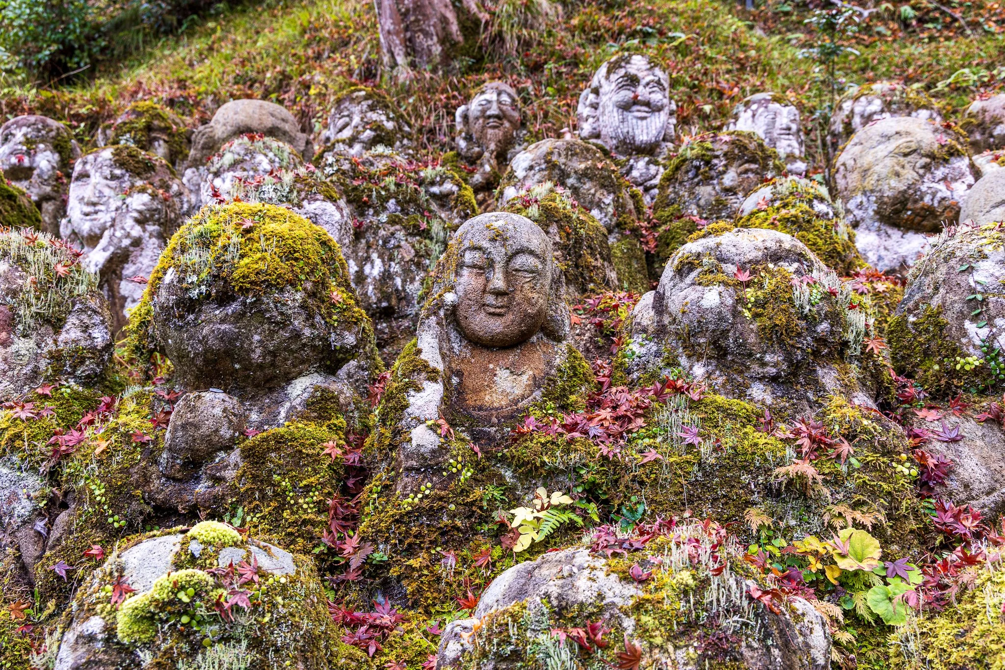 F19A4143_otagi-nenbutsu-ji.jpg