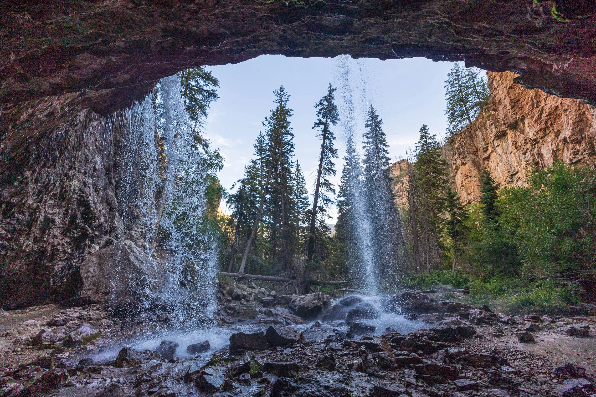 F19A2411_sprouting-rock.jpg