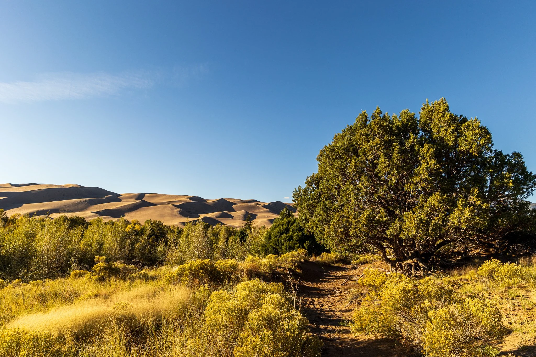 F19A9914_sunset-at-great-sand-dunes-national-park.jpg
