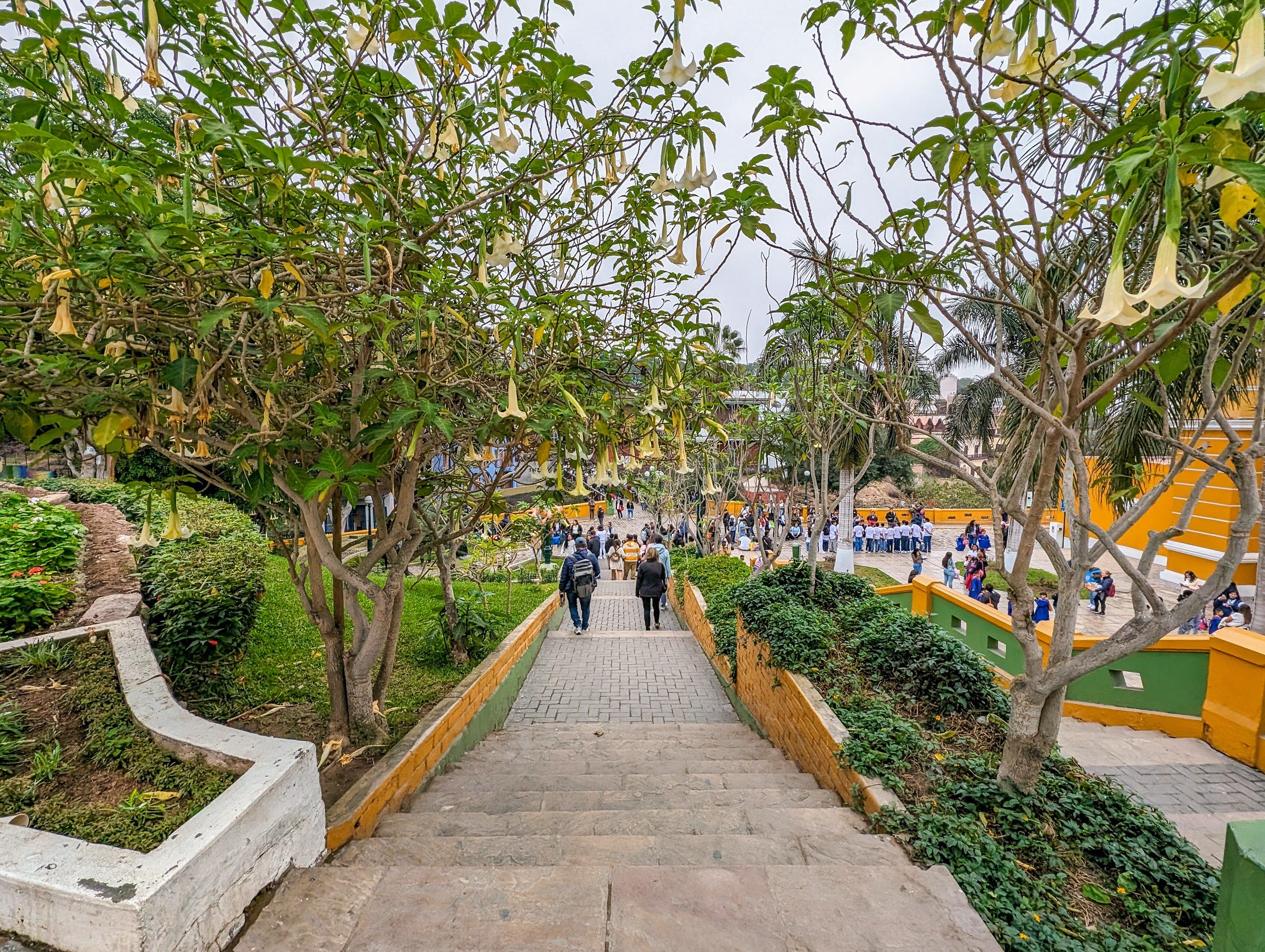PXL_20240623_160452593_barranco.jpg