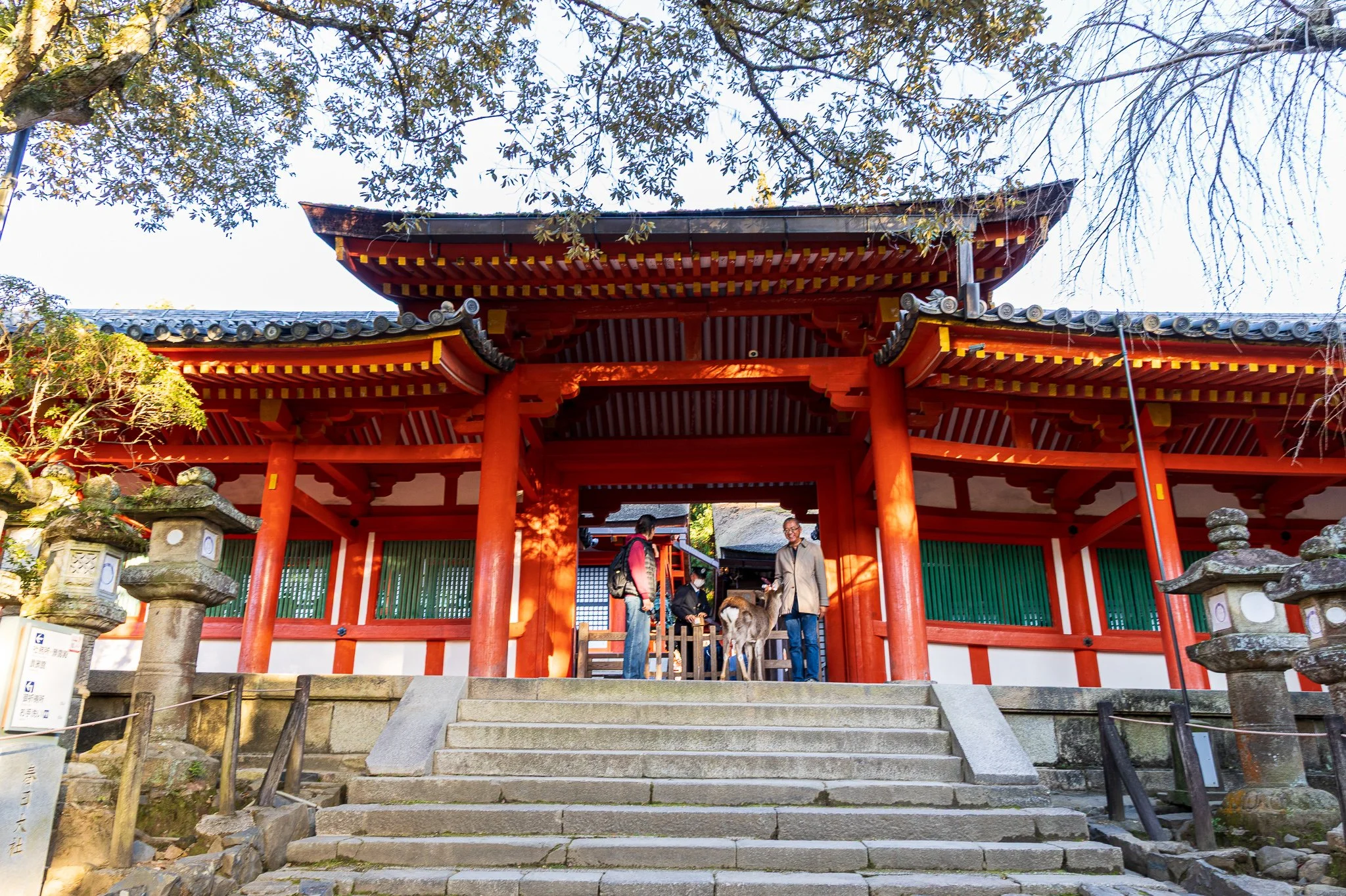 F19A3718_kasuga-taisha.jpg