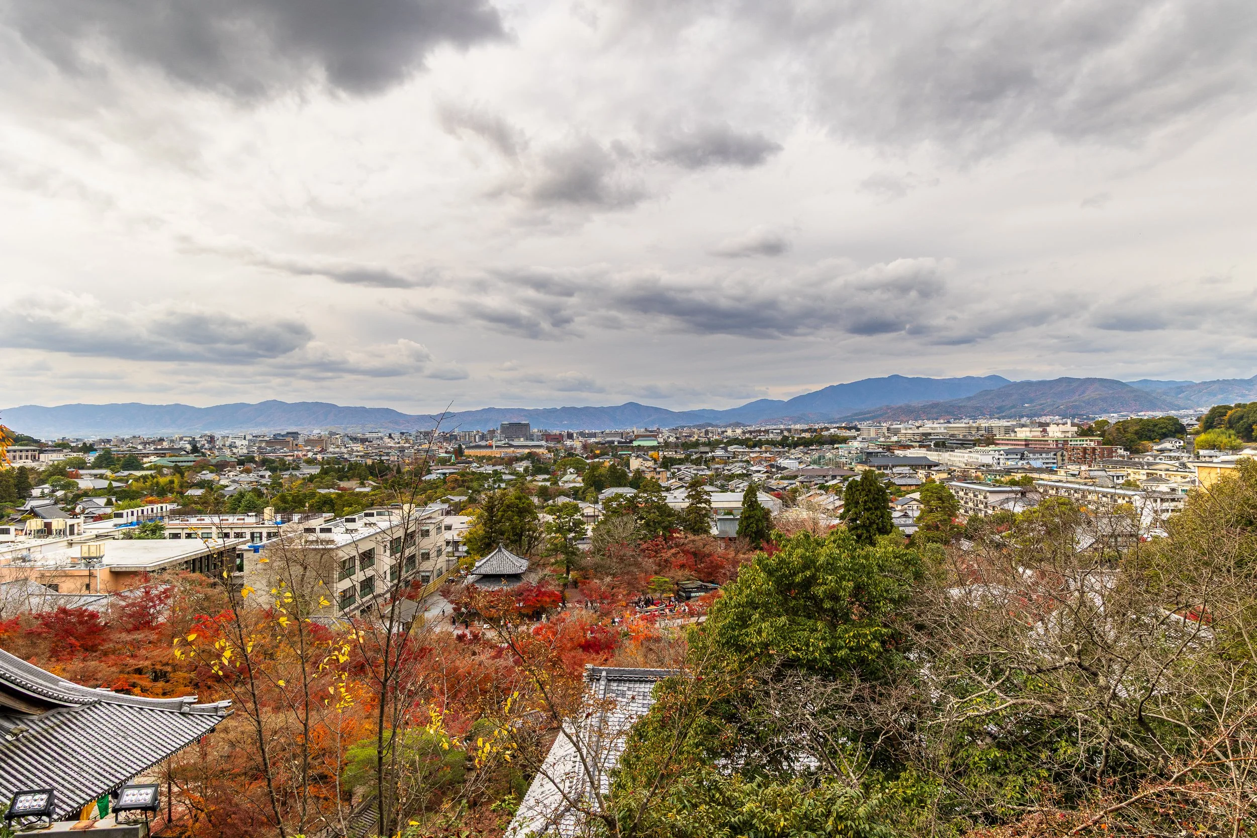 F19A4913_eikando.jpg