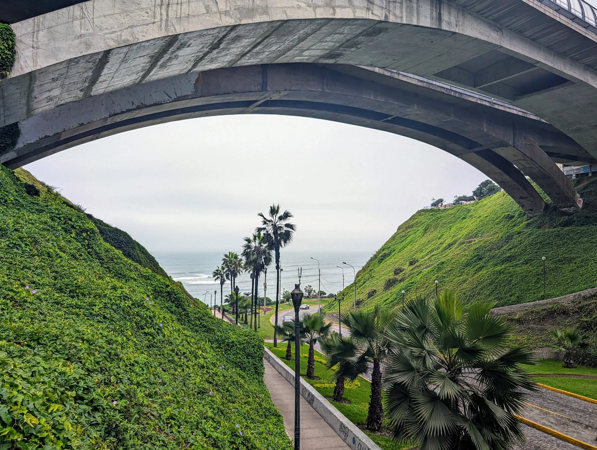 PXL_20240622_175702315_miraflores.jpg