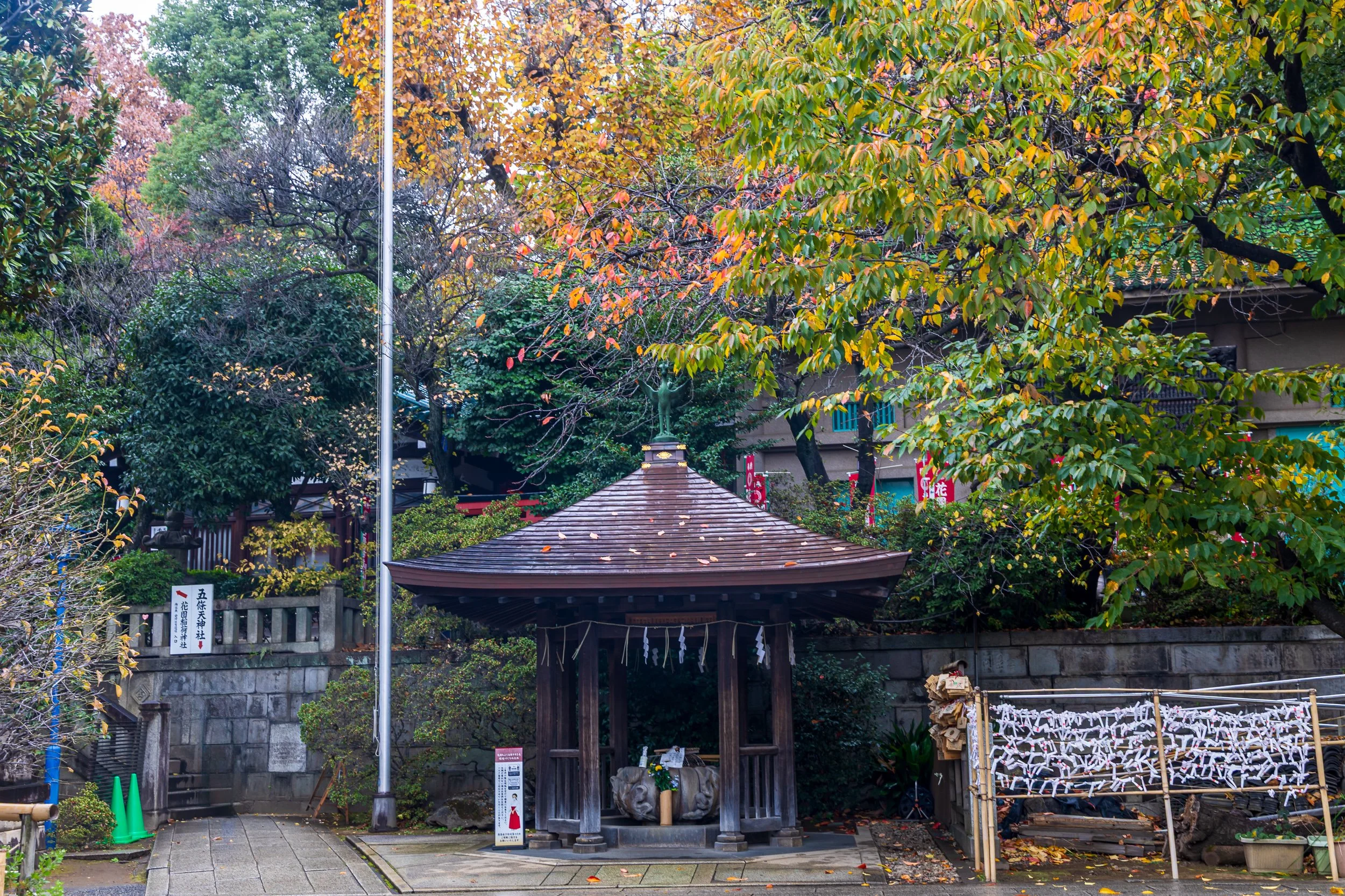 F19A1177_ueno-park.jpg