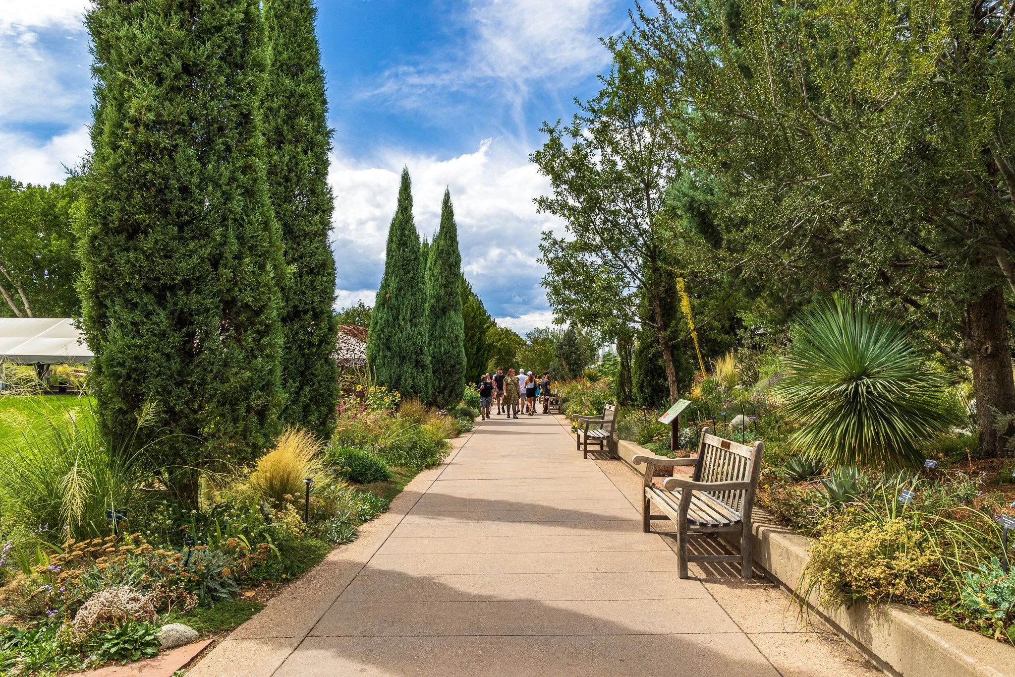 F19A9860_denver-botanic-gardens.jpg