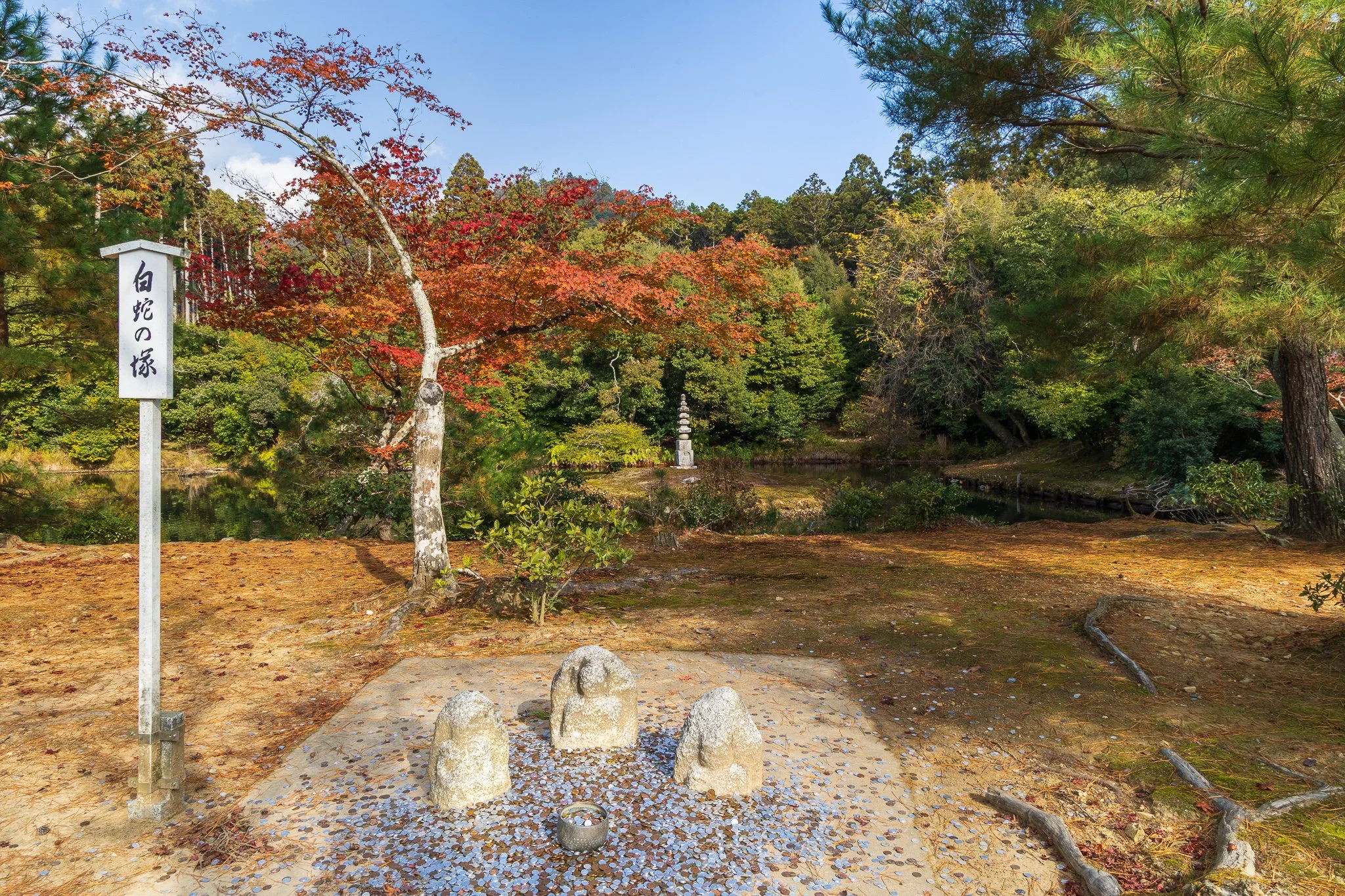 F19A4425_kinkaku-ji.jpg