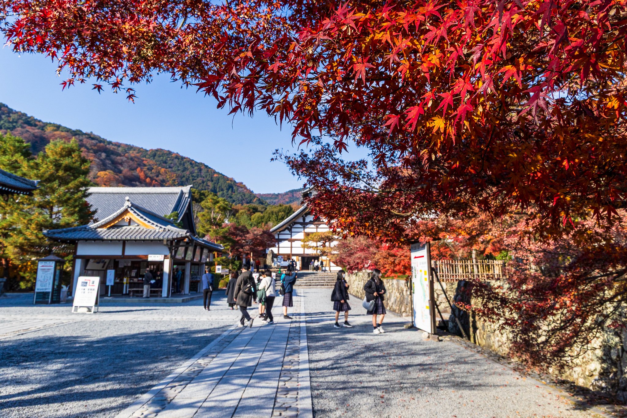 F19A3913_tenryu-ji.jpg