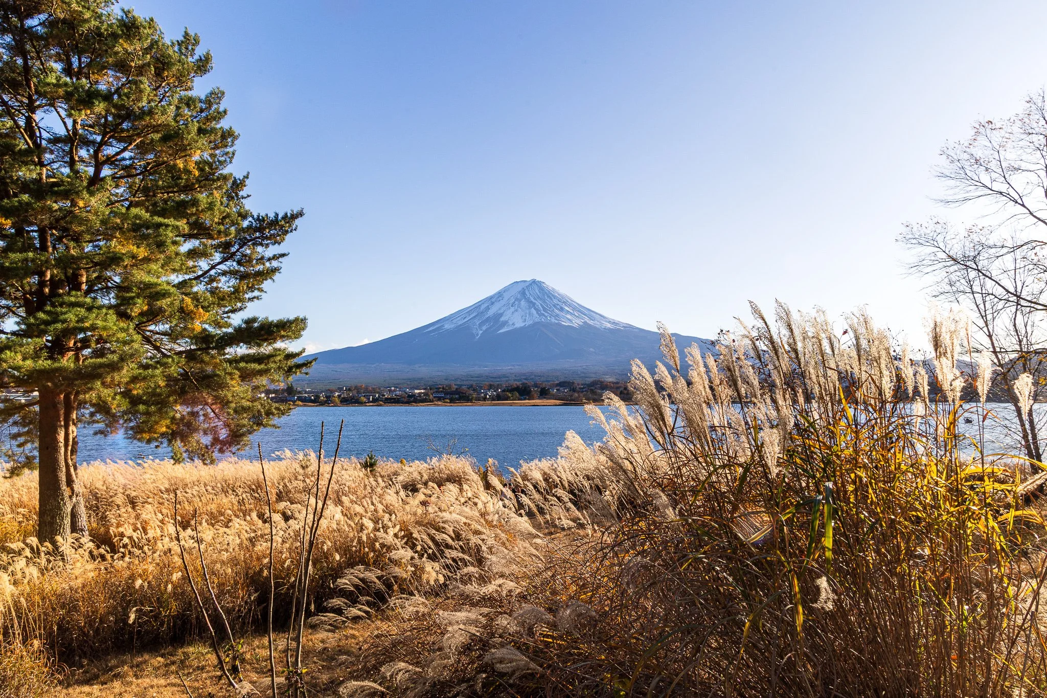 F19A2871_nagasaki-park.jpg