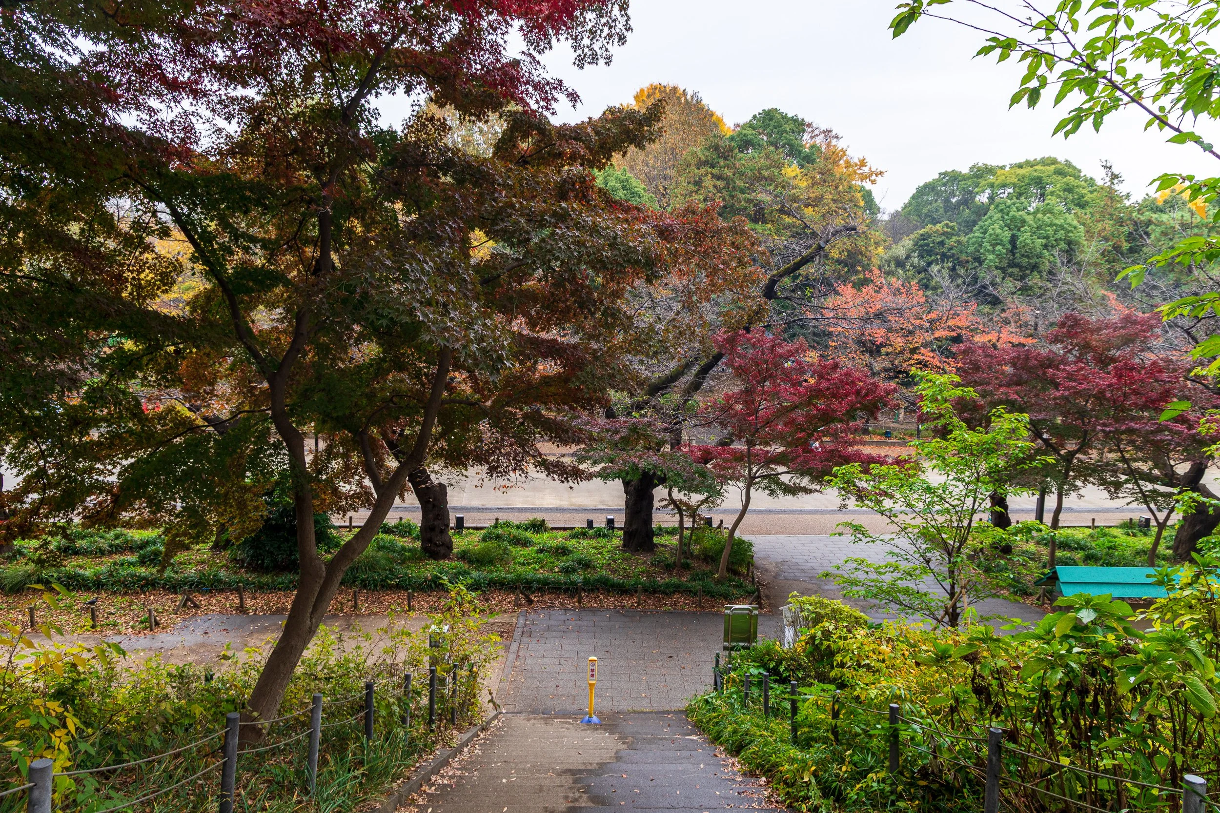 F19A1212_ueno-park.jpg