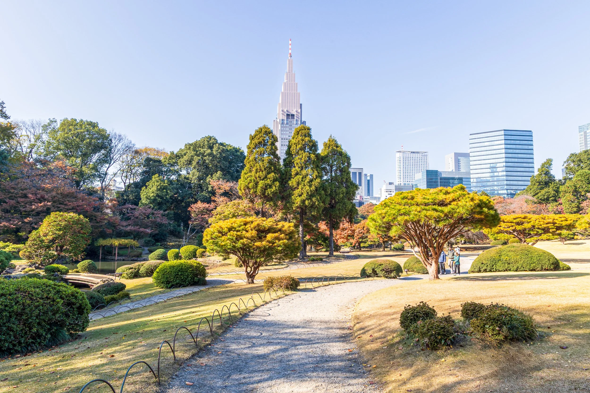 F19A2302_shinjuku-gyoen-national-garden.jpg