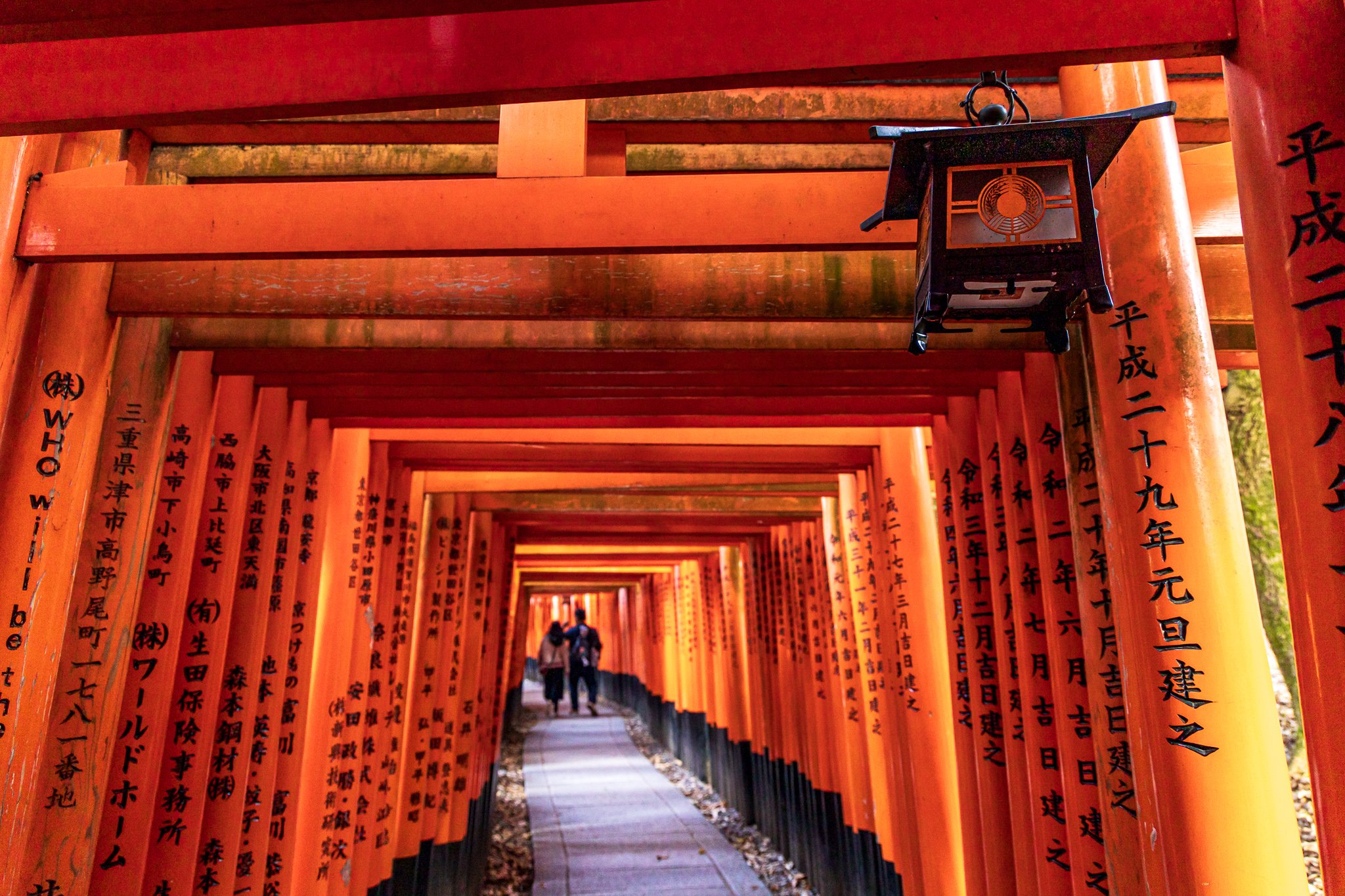 F19A4312_fushimi-inari-taisha.jpg