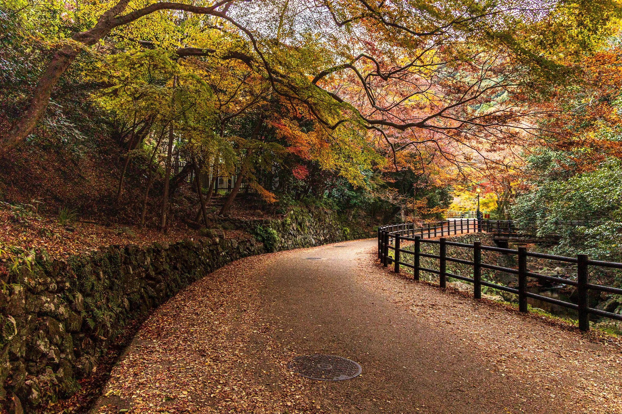 F19A5334_minoh-falls.jpg
