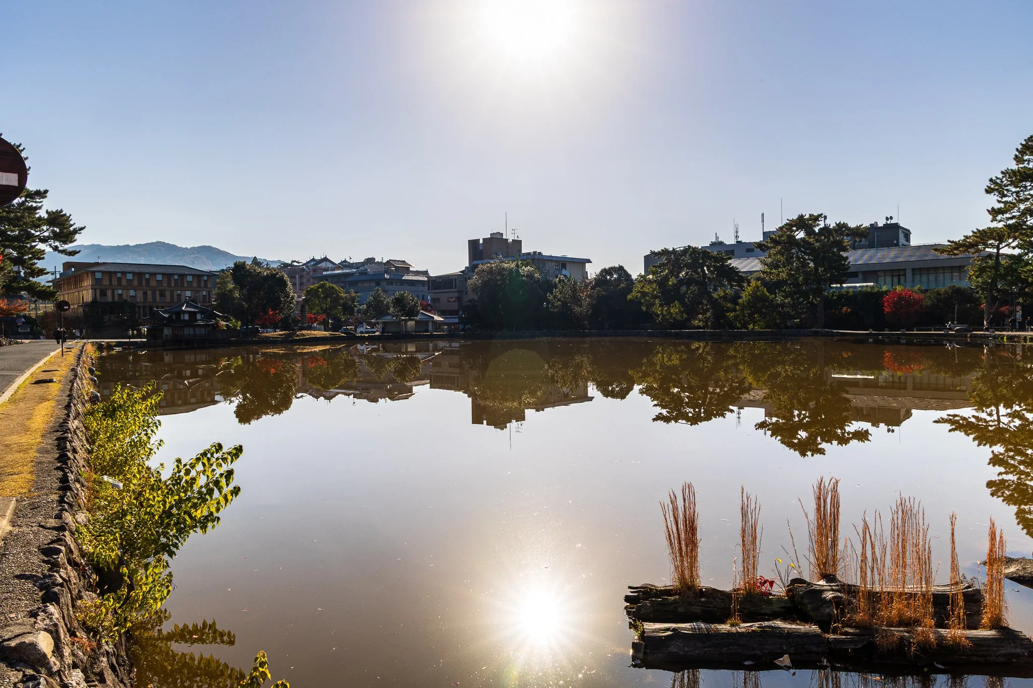 F19A3402_sarusawa-ike-pond.jpg