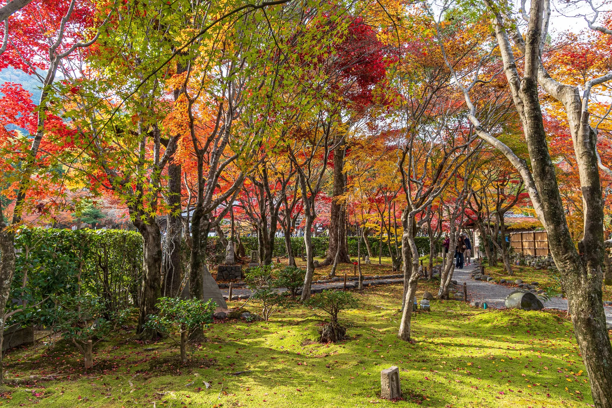 F19A4072_adashino-nenbutsu-ji.jpg