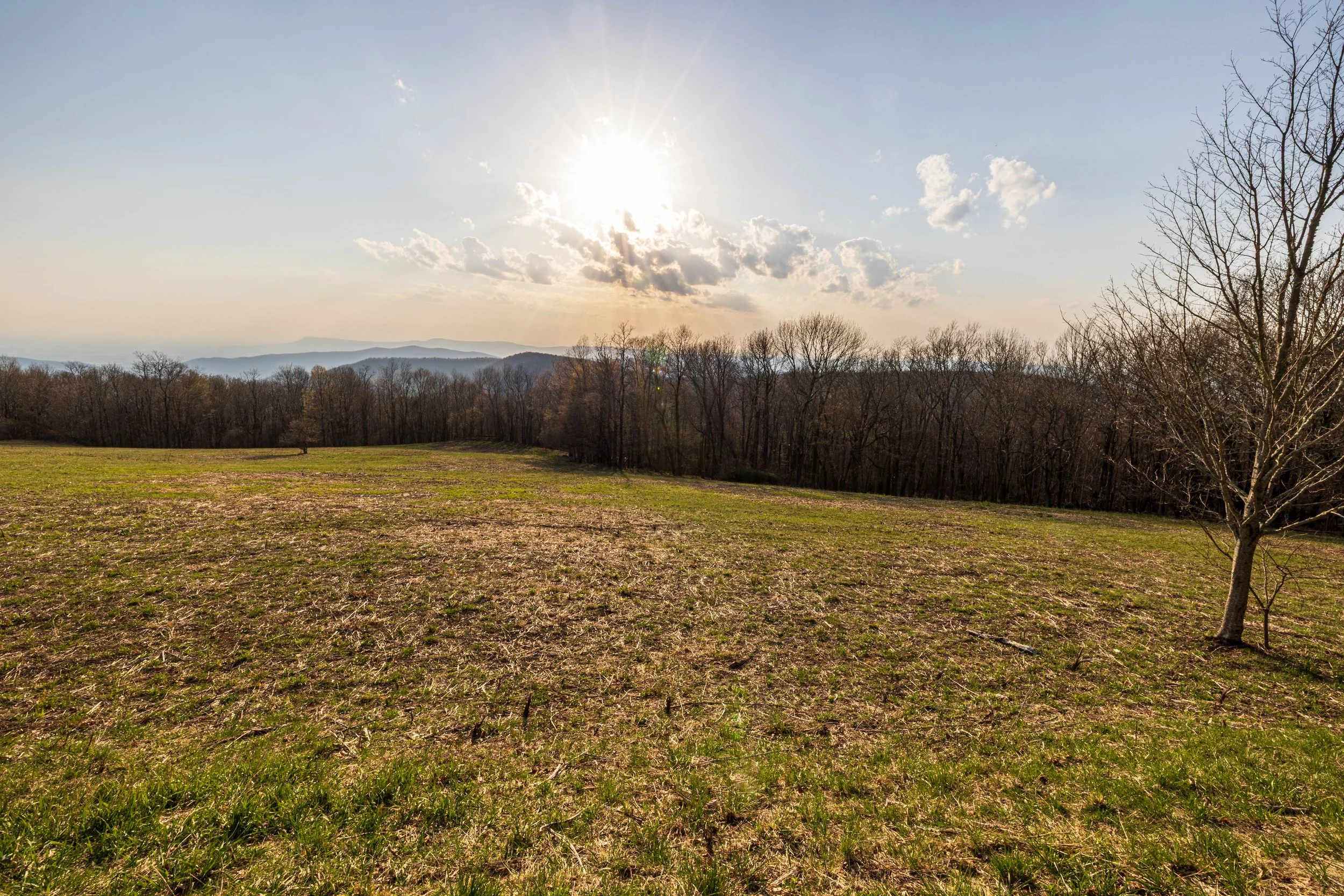Naked Creek Overlook