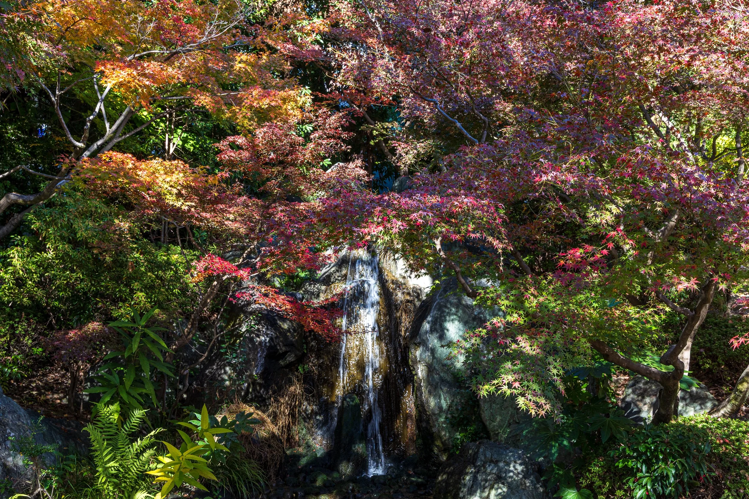 F19A5509_shitenno-ji.jpg