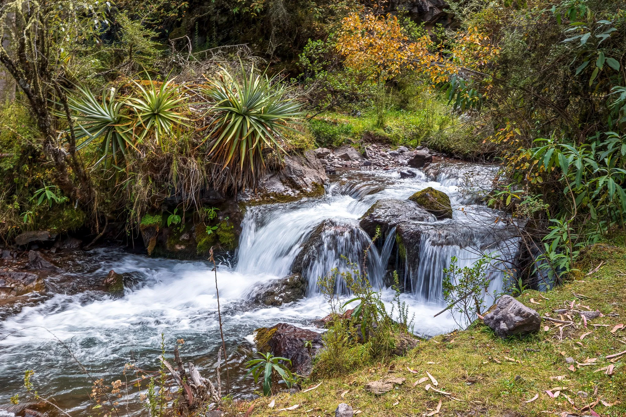 F19A1704-Edit-2.jpg