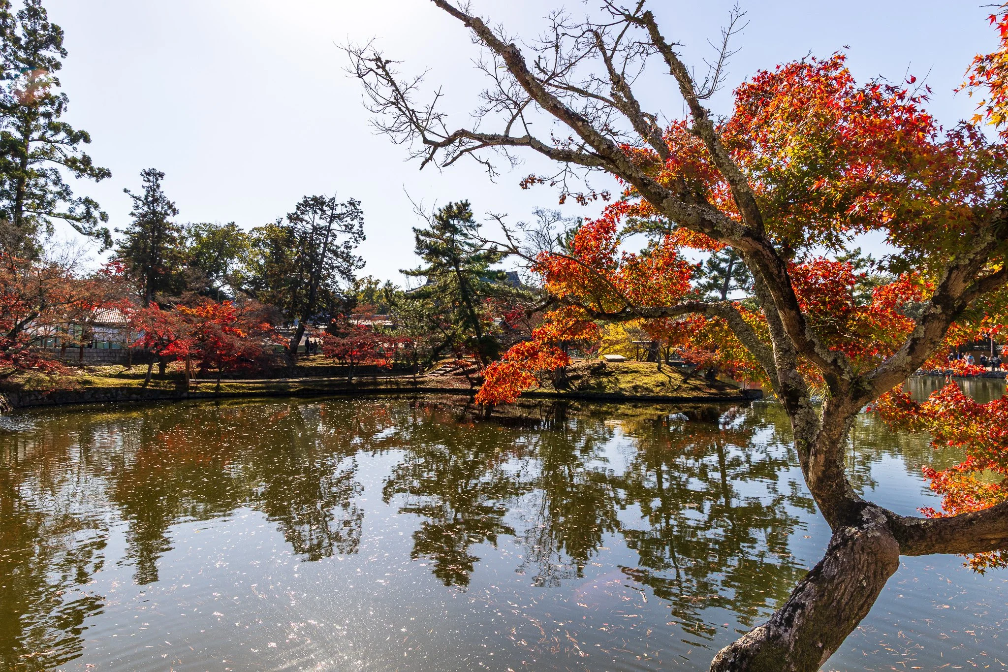 Kagami-ike Pond (Mirror Pond)