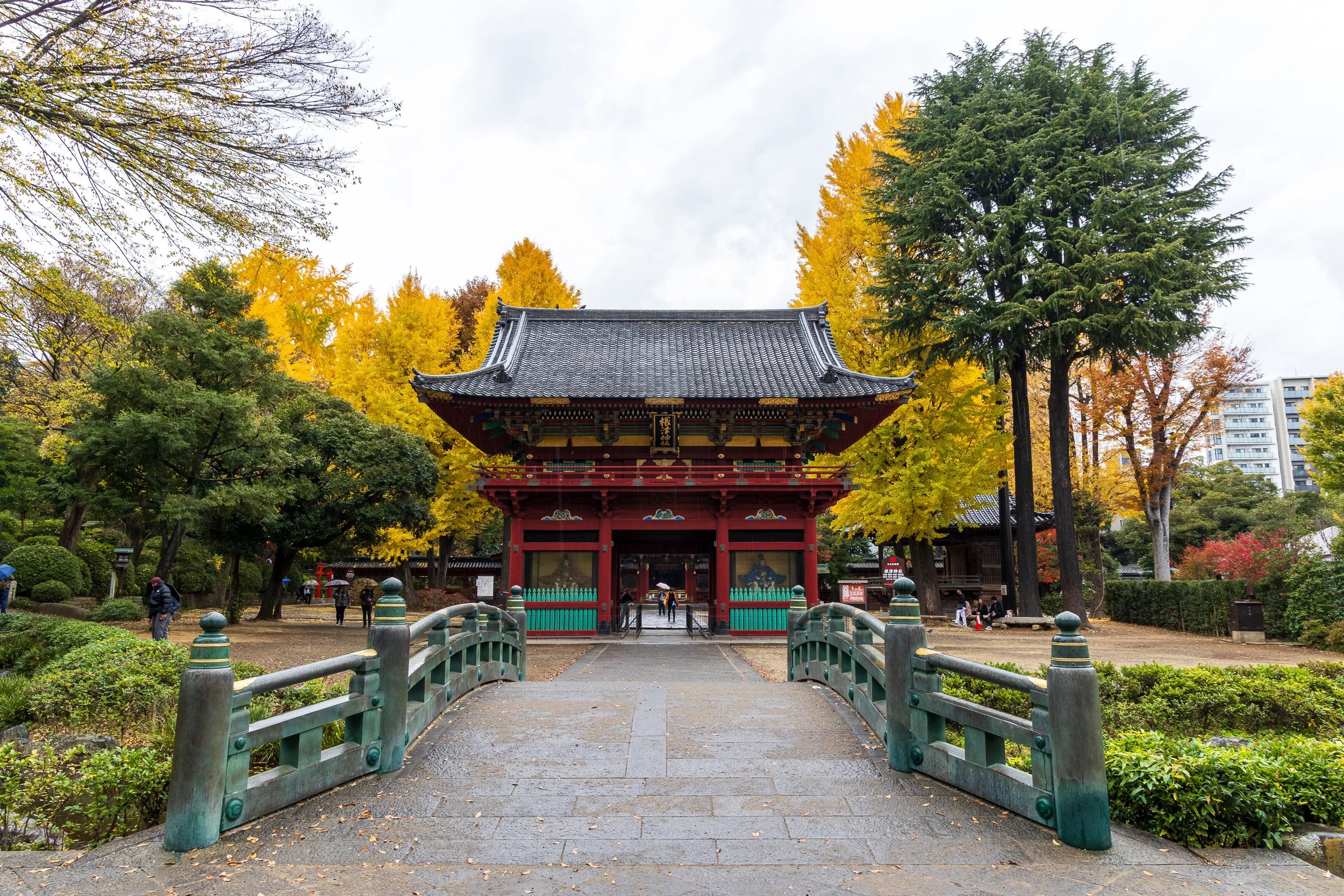 F19A1100_nezu-shrine.jpg