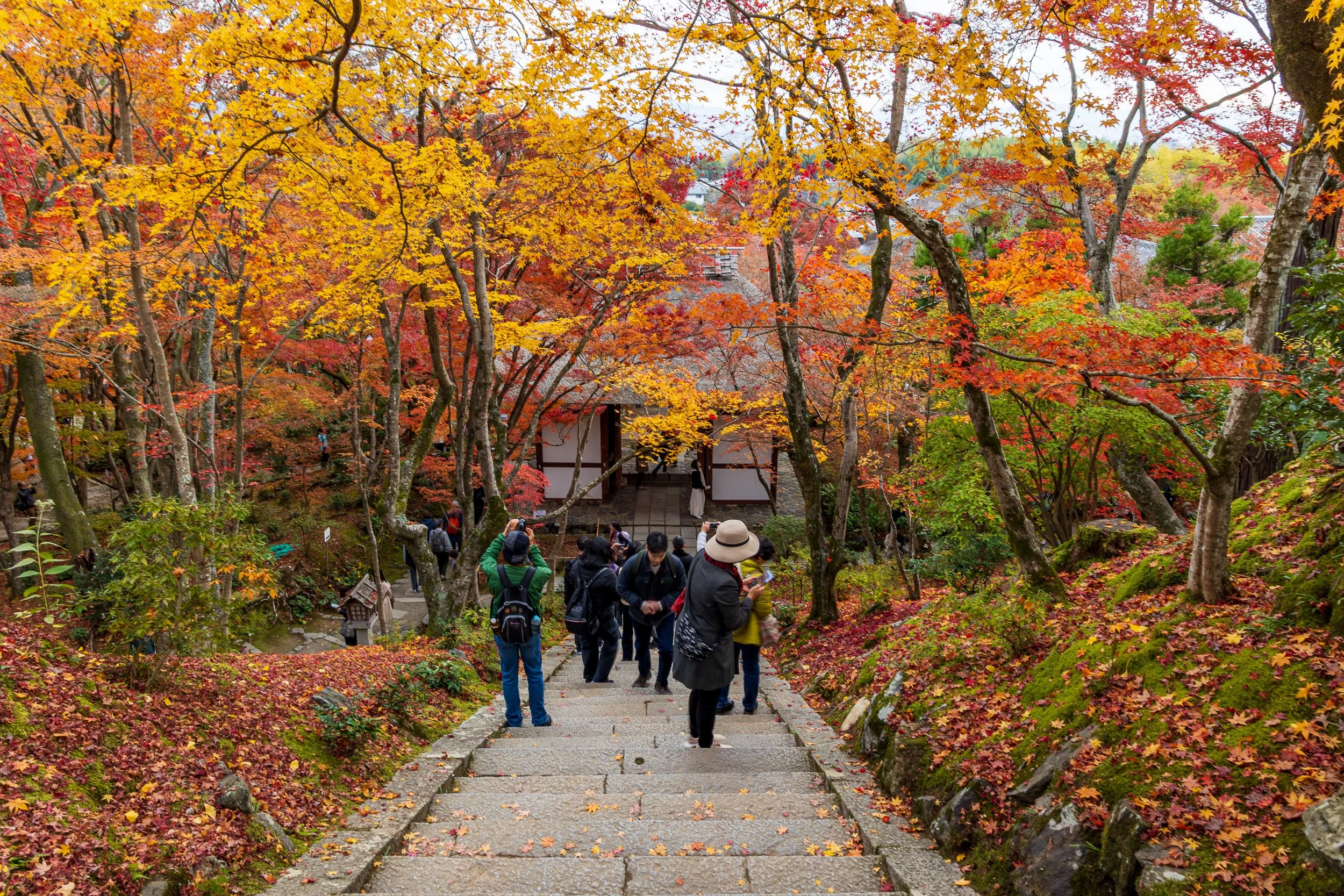 F19A3971_jojakko-ji.jpg