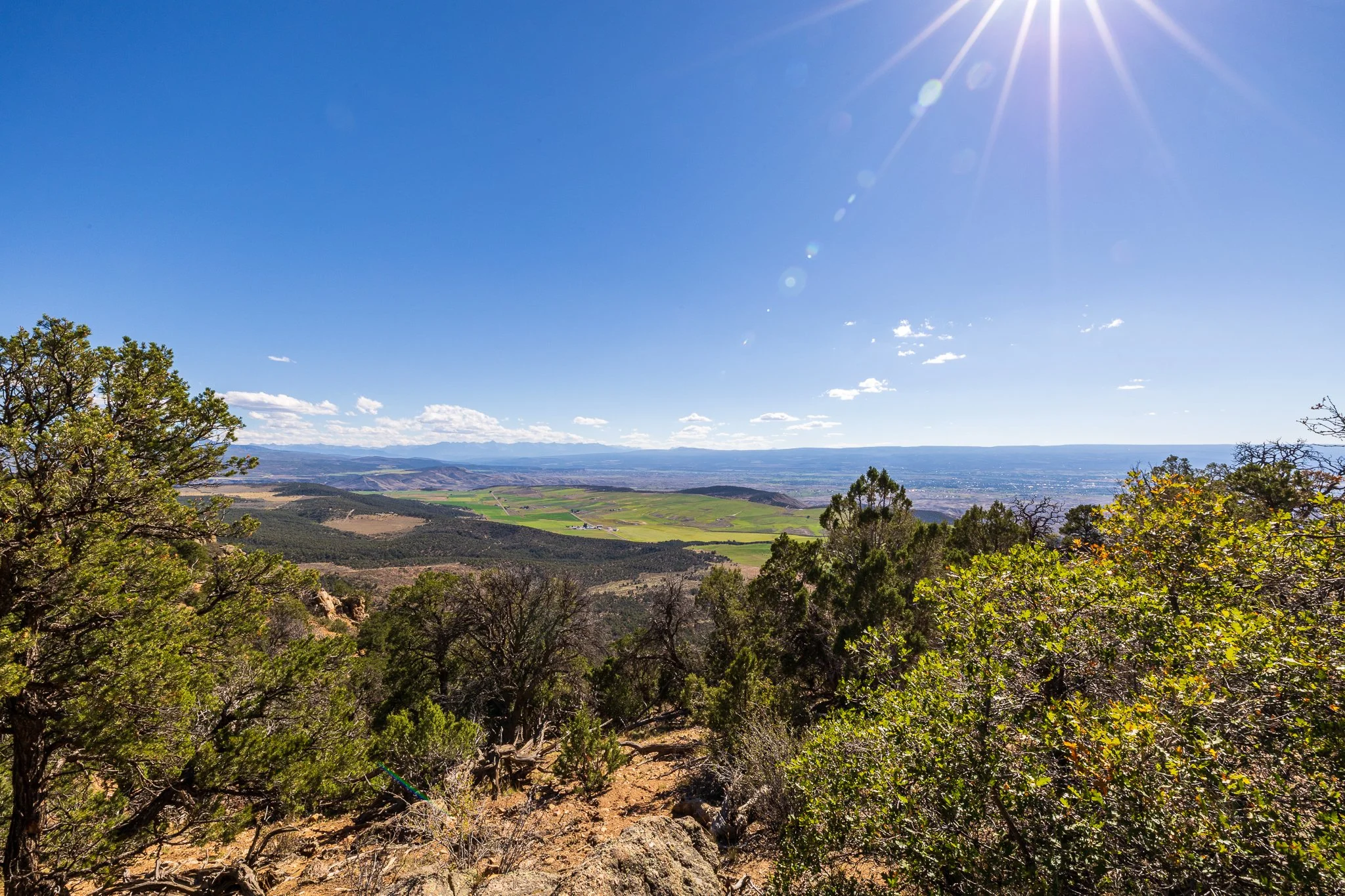 F19A2062_warner-point-nature-trail.jpg
