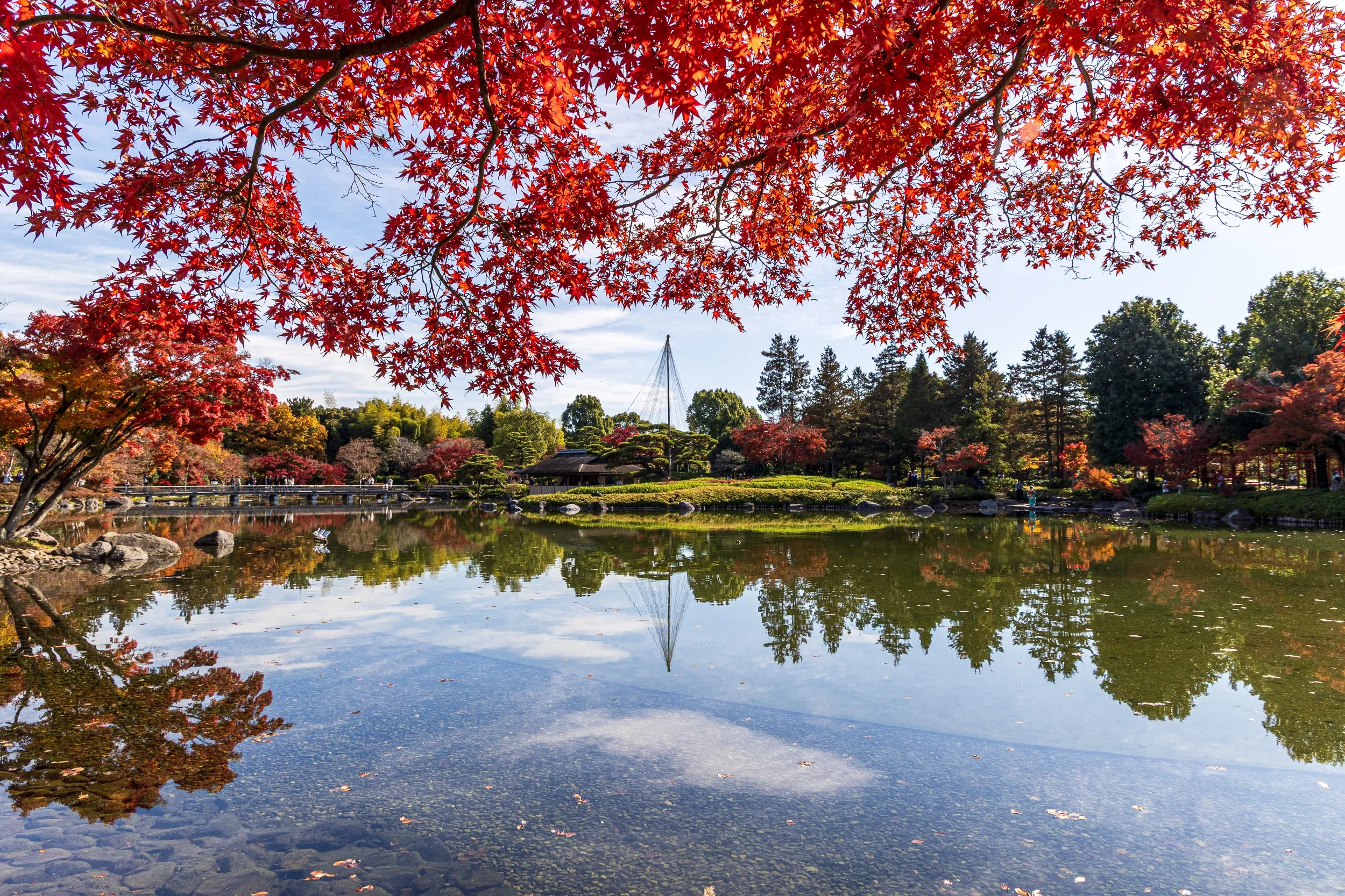 F19A0688_showa-kinen-park.jpg