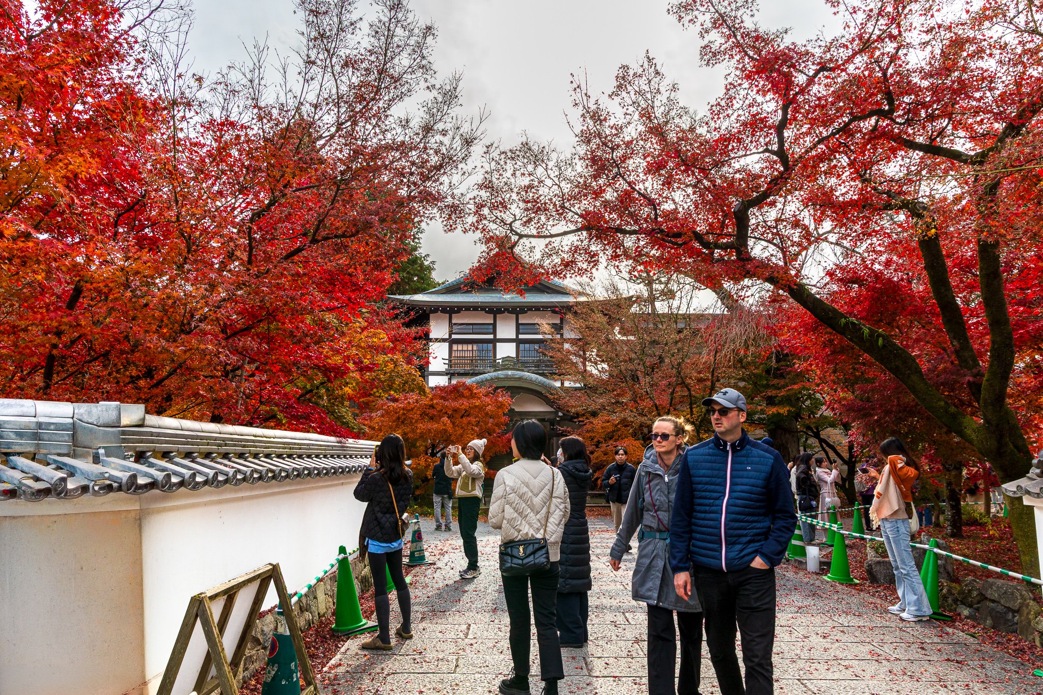 F19A4863_eikan-do.jpg