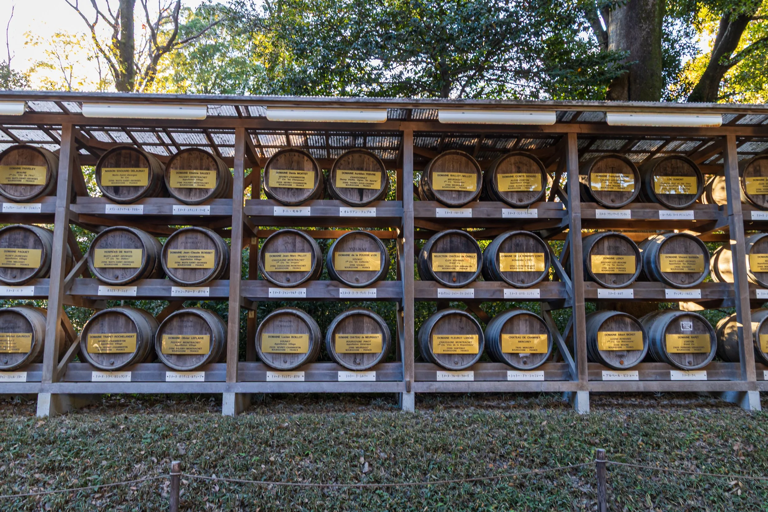 F19A0830_meiji-jingu.jpg