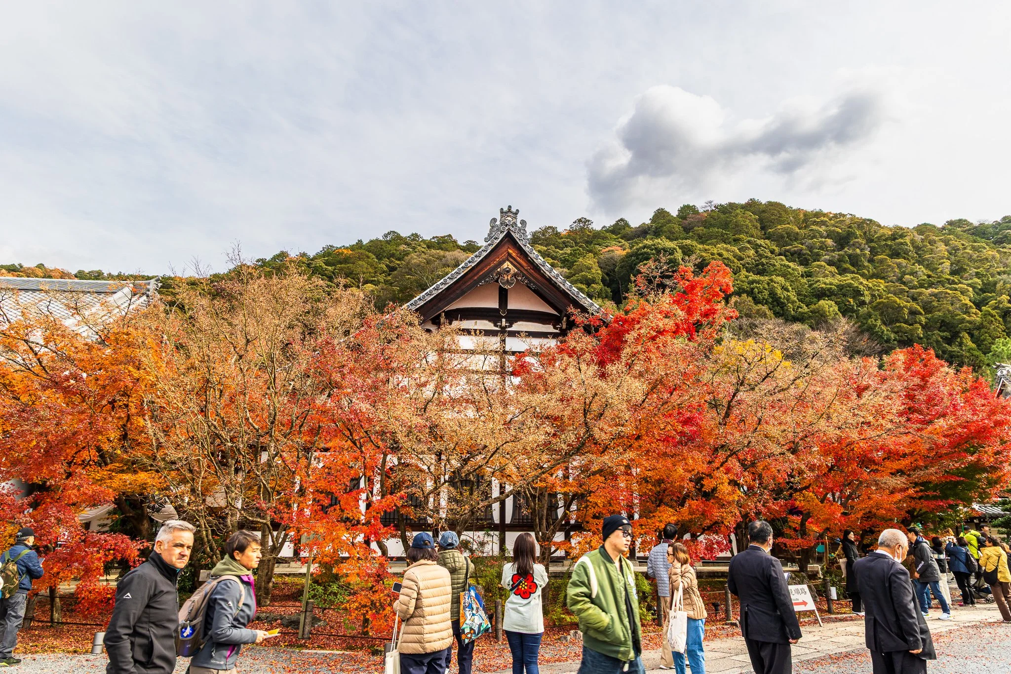 F19A4875_eikan-do.jpg
