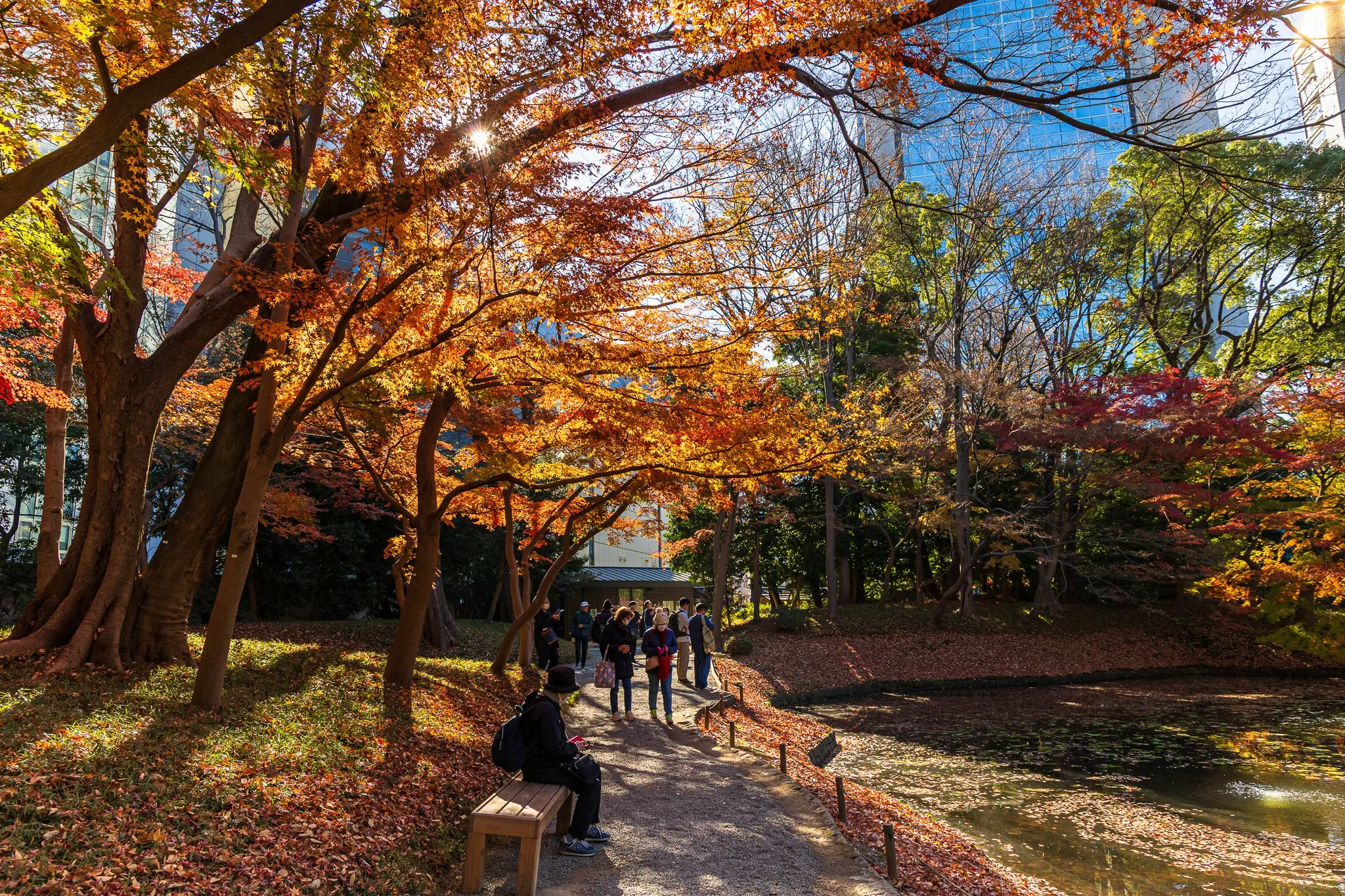 F19A5934_koishikawa-korakuen-gardens.jpg