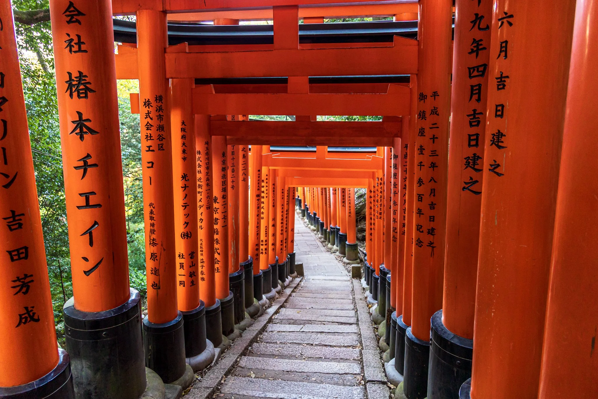 F19A4305_fushimi-inari-taisha.jpg
