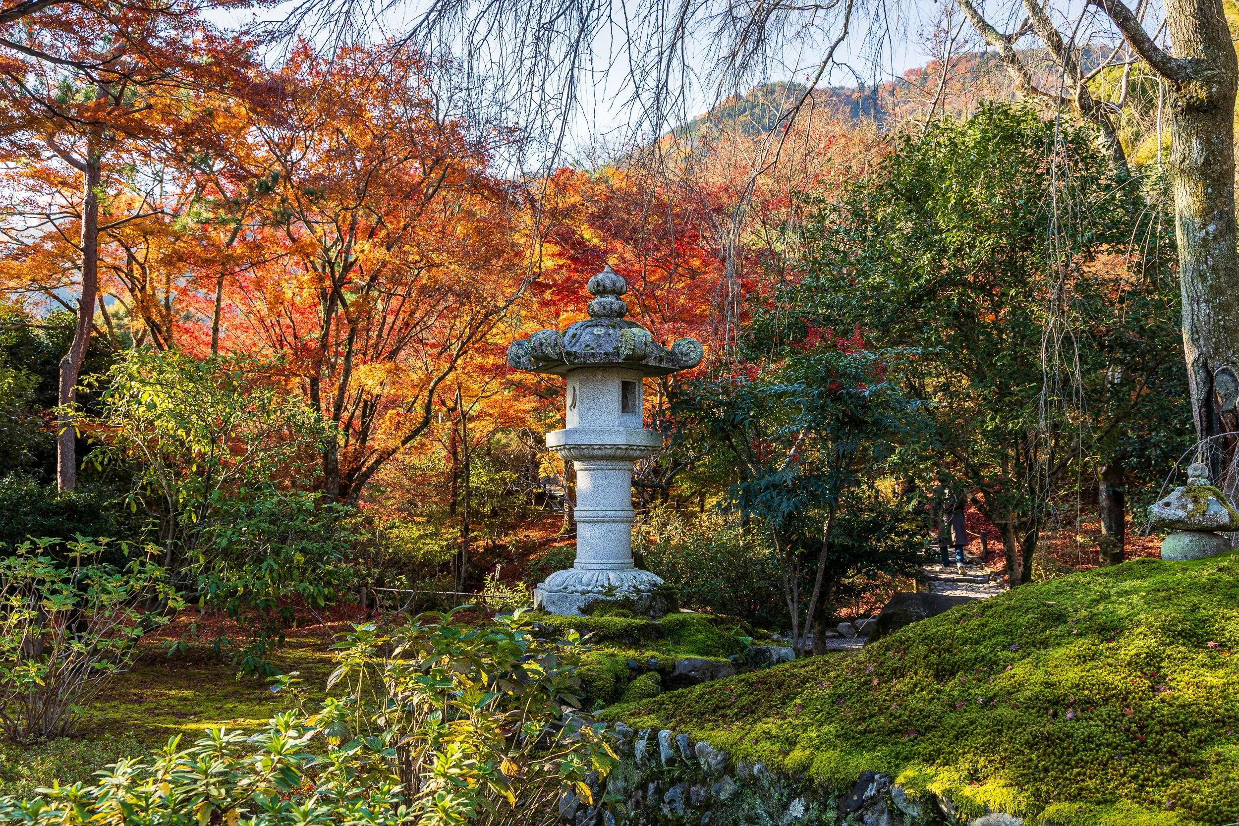F19A3852_tenryu-ji.jpg