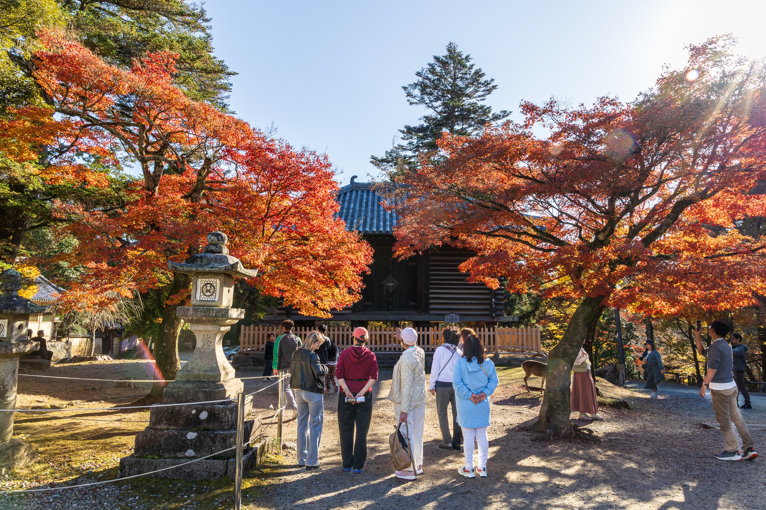 F19A3636_todai-ji-hokke-do.jpg