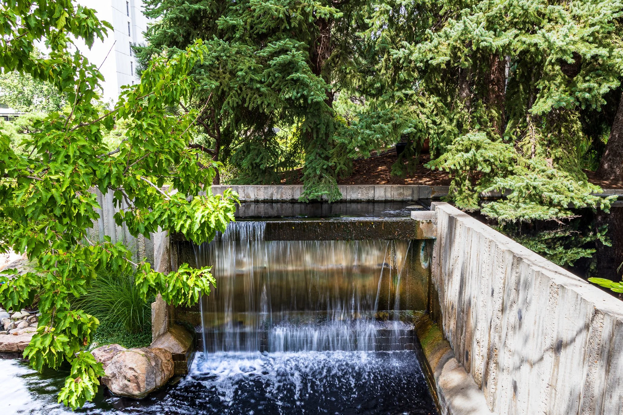 F19A9931_denver-botanic-gardens.jpg