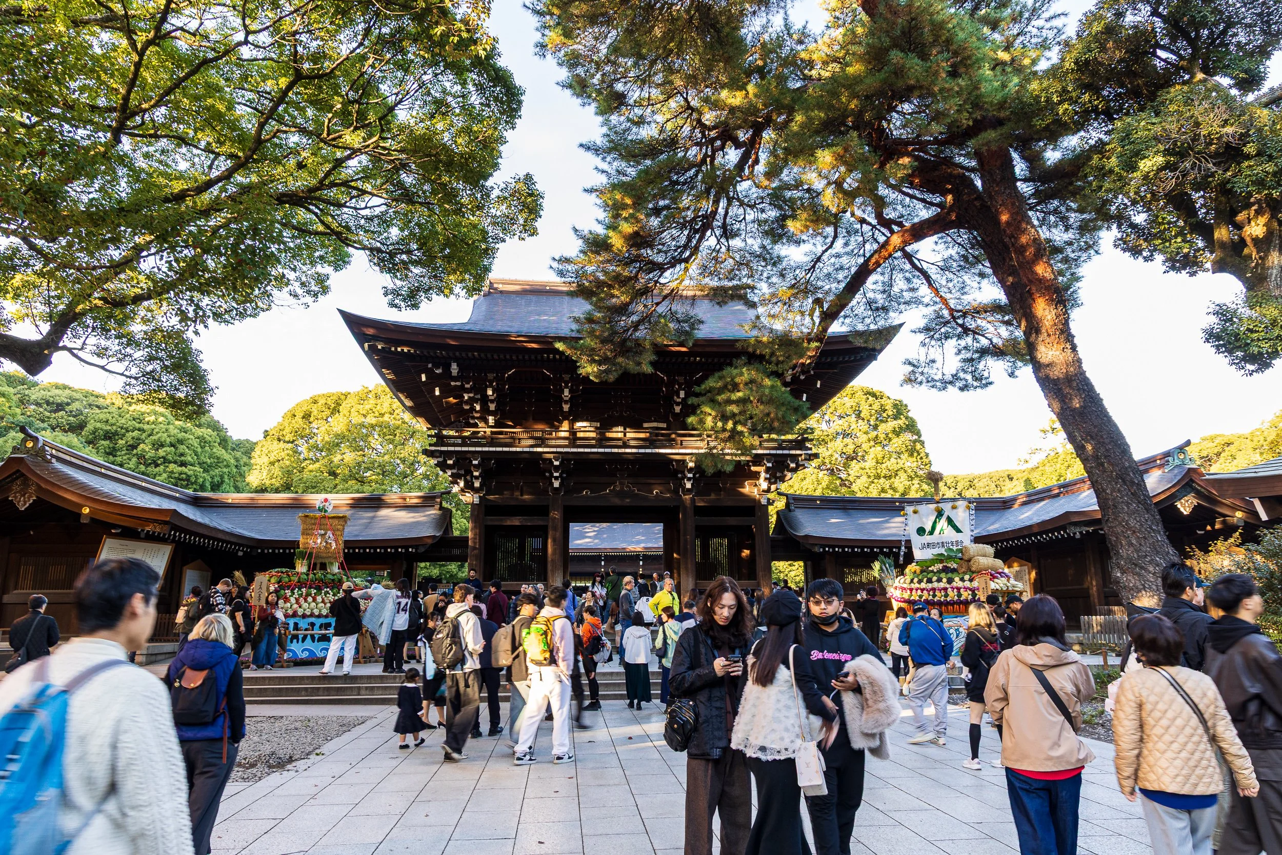 F19A0842_meiji-jingu.jpg