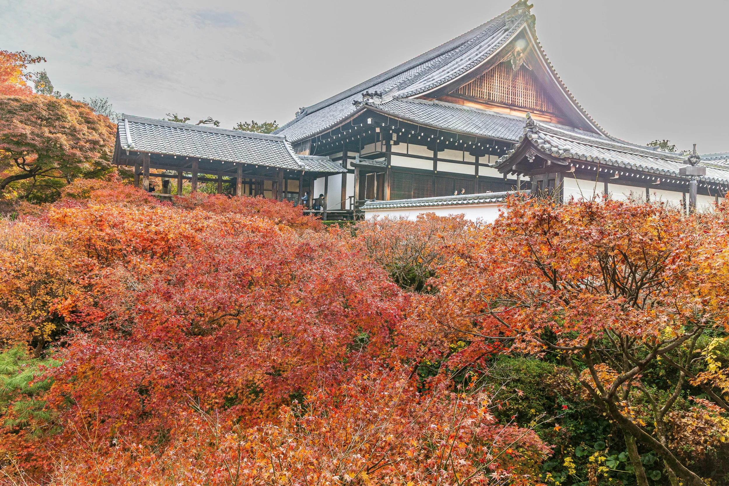 Tsūtenkyō Bridge
