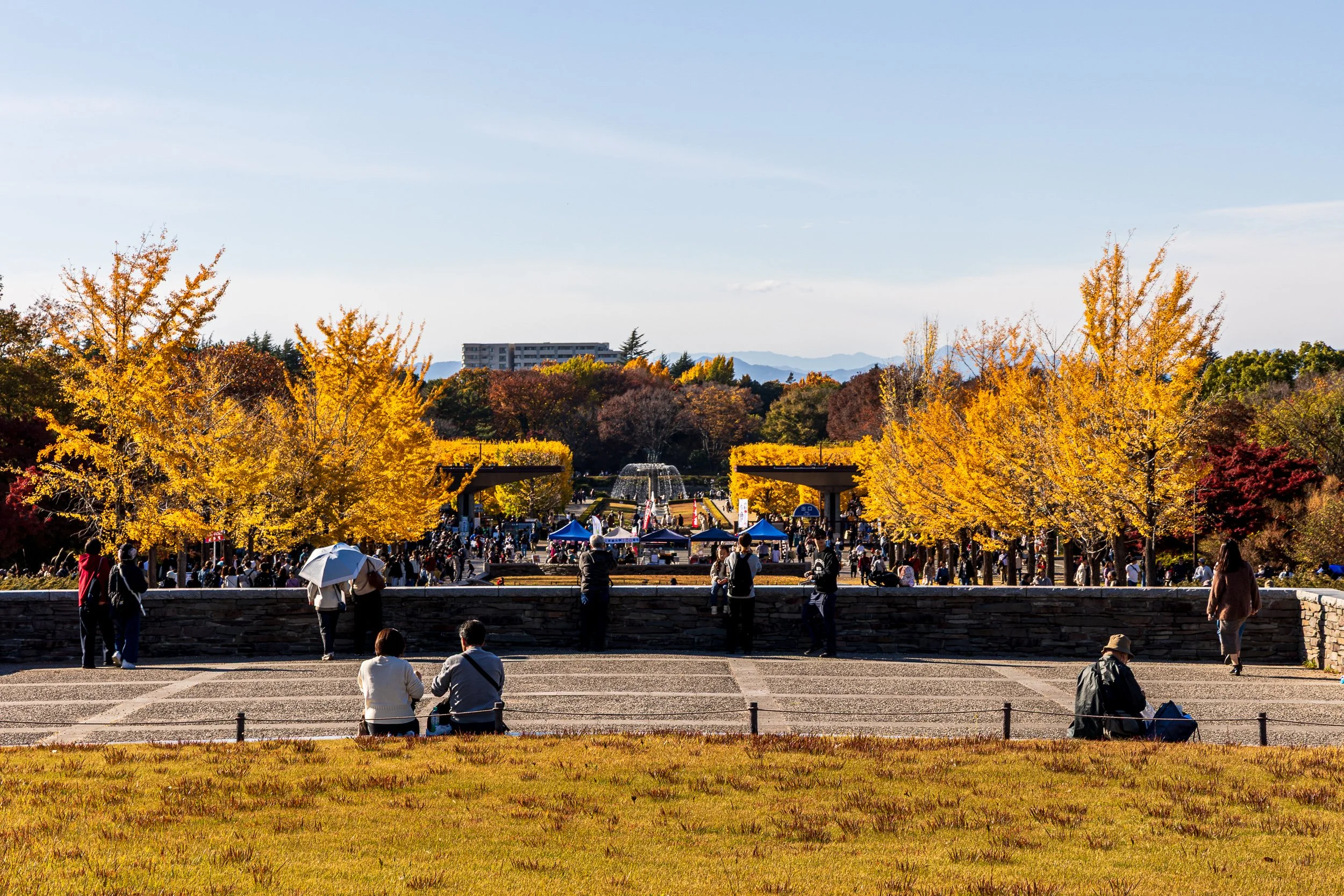 F19A0798_showa-kinen-park.jpg