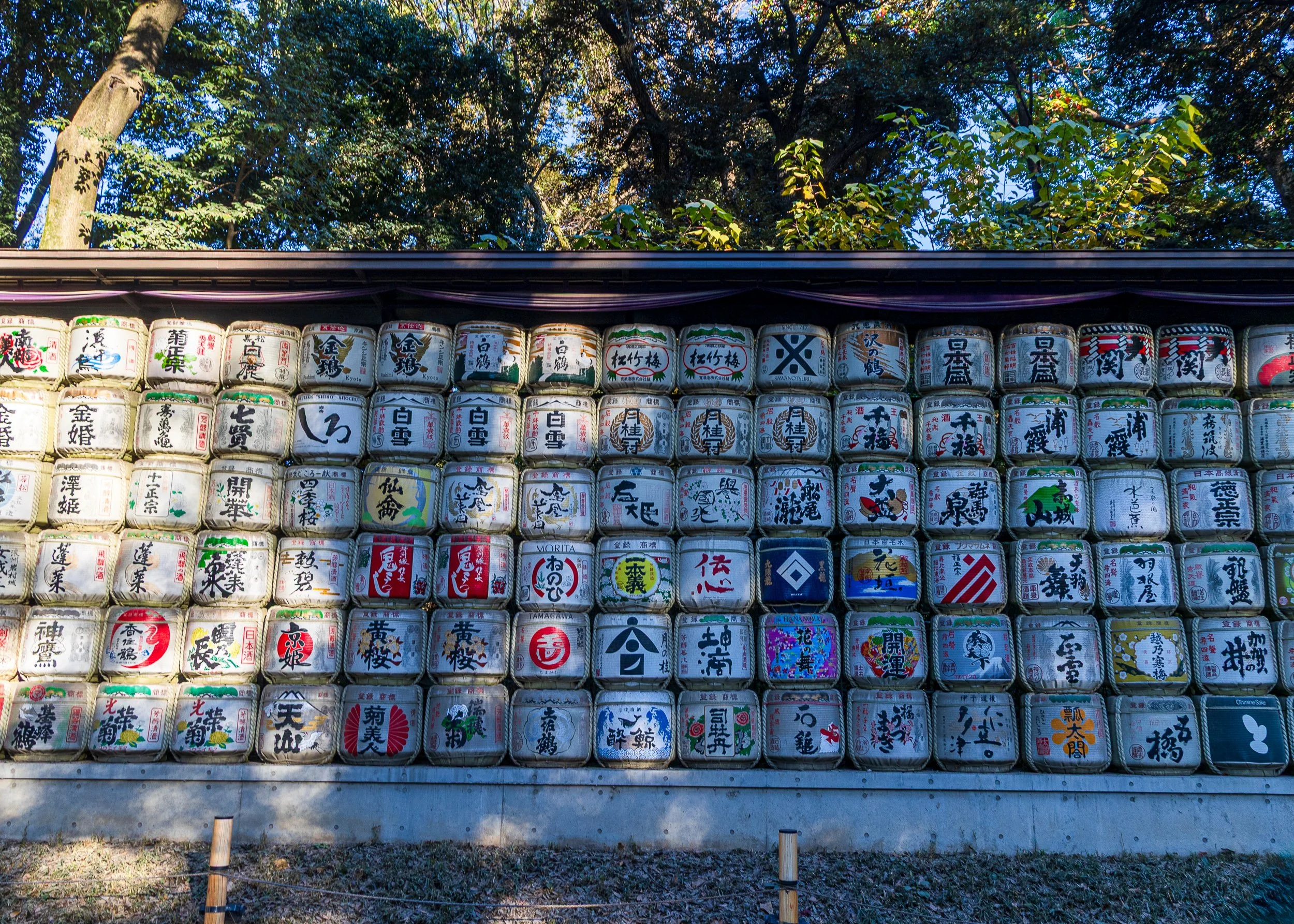 F19A0832_meiji-jingu.jpg
