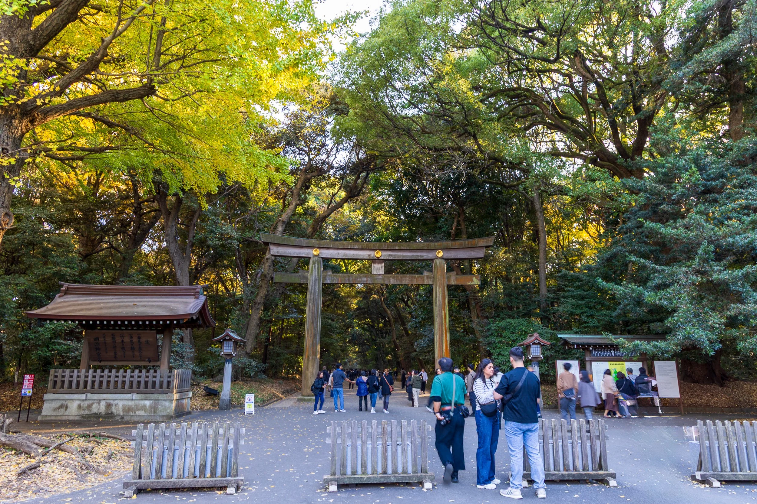 F19A0801_meiji-jingu.jpg