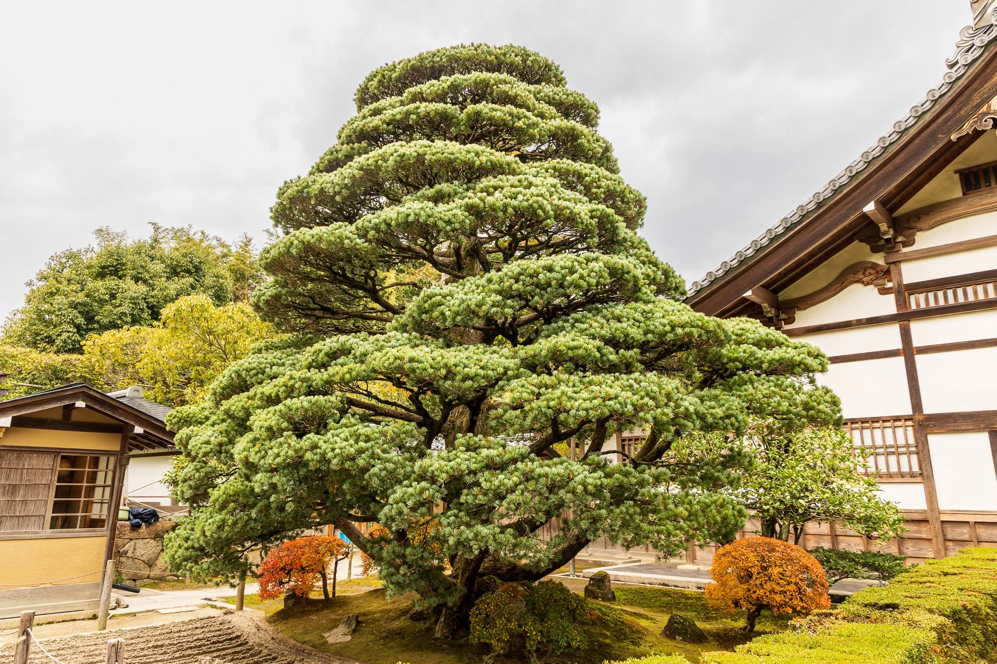 F19A4727_ginkaku-ji.jpg