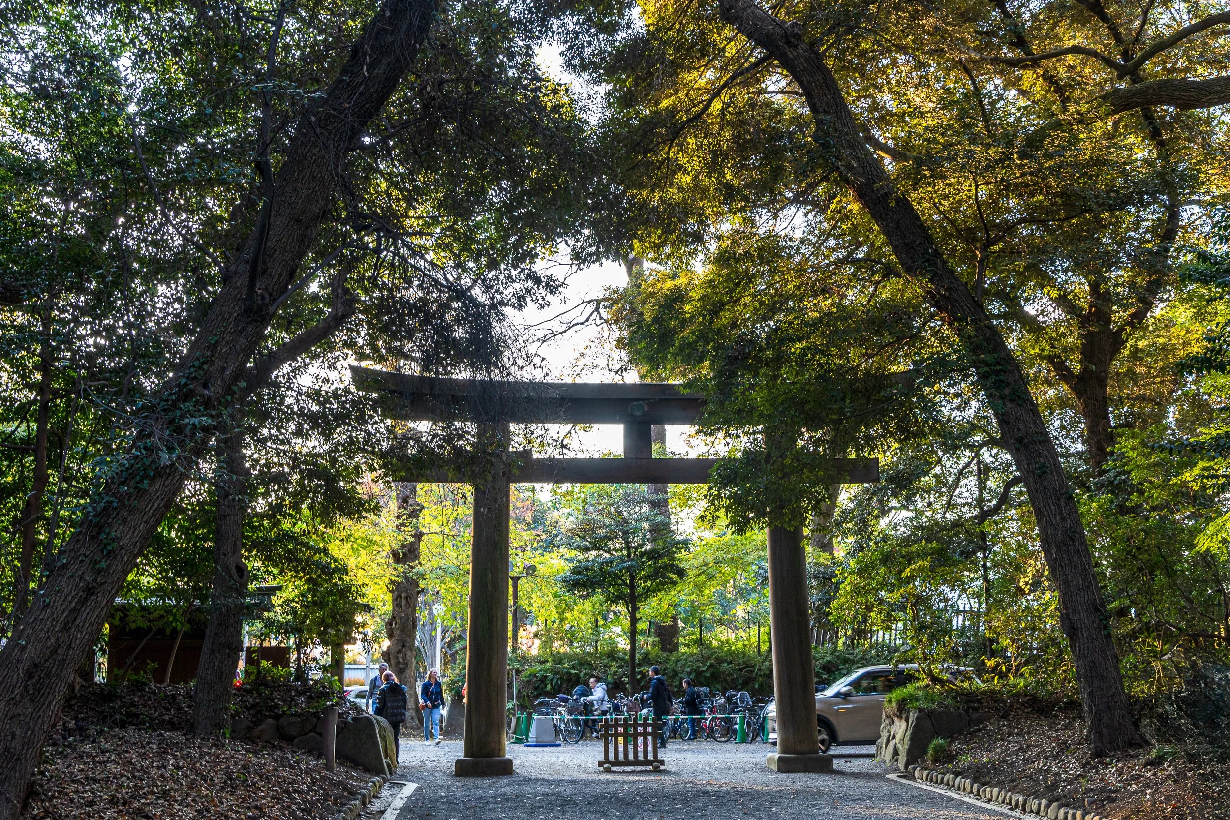F19A0880_meiji-jingu.jpg