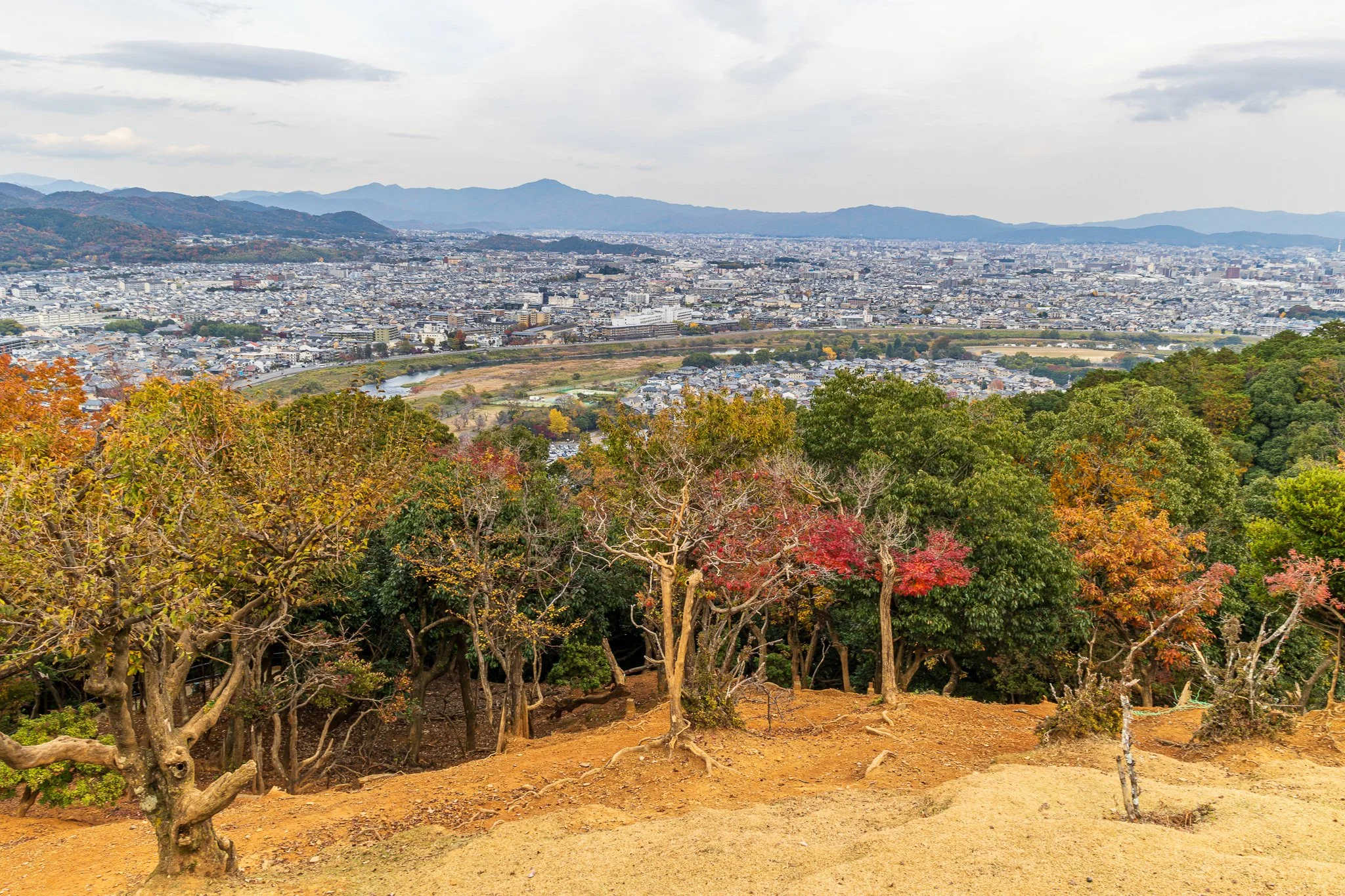 F19A4161_arashiyama-monkey-park-iwatayama.jpg