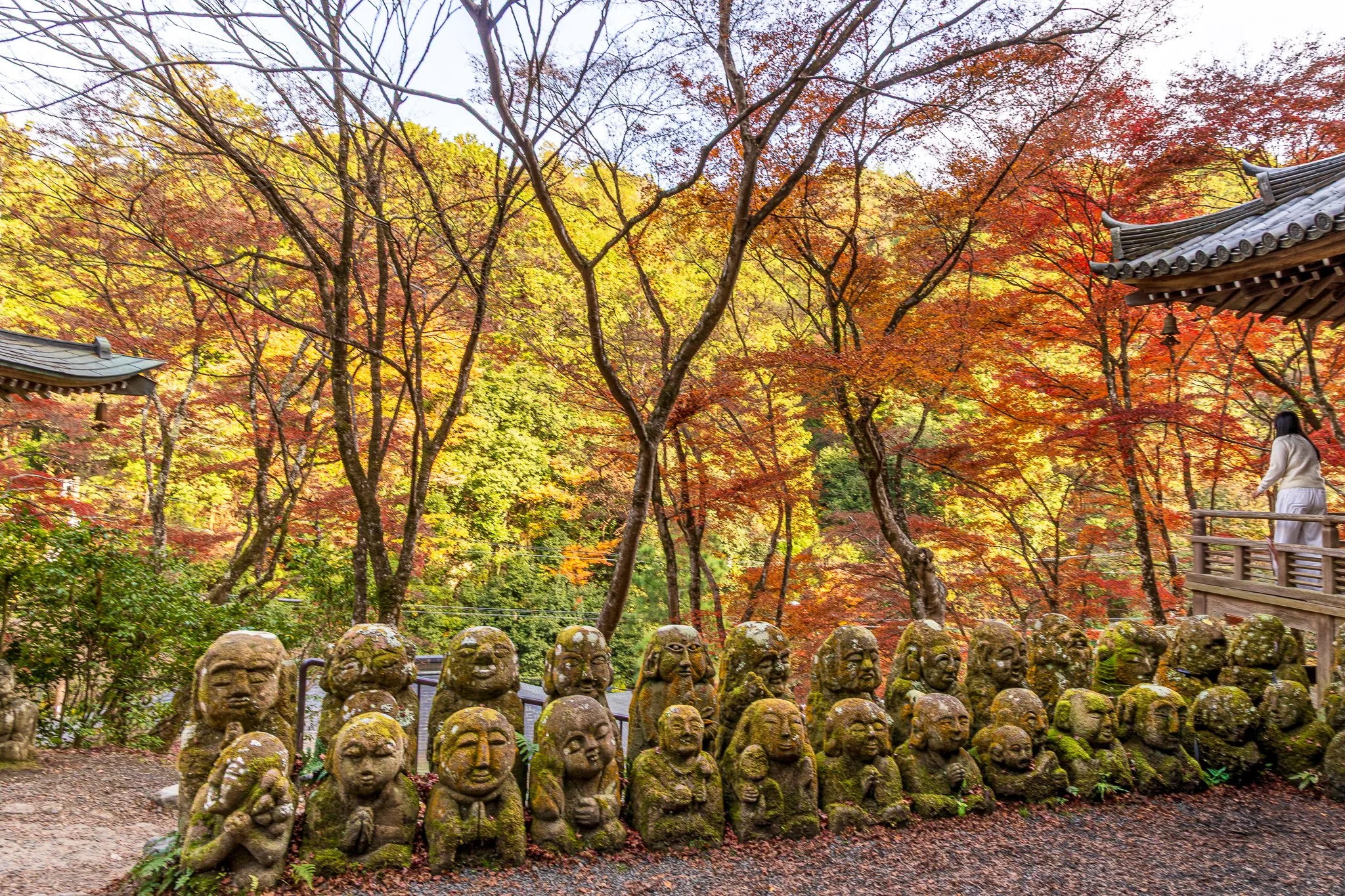 F19A4125_otagi-nenbutsu-ji.jpg